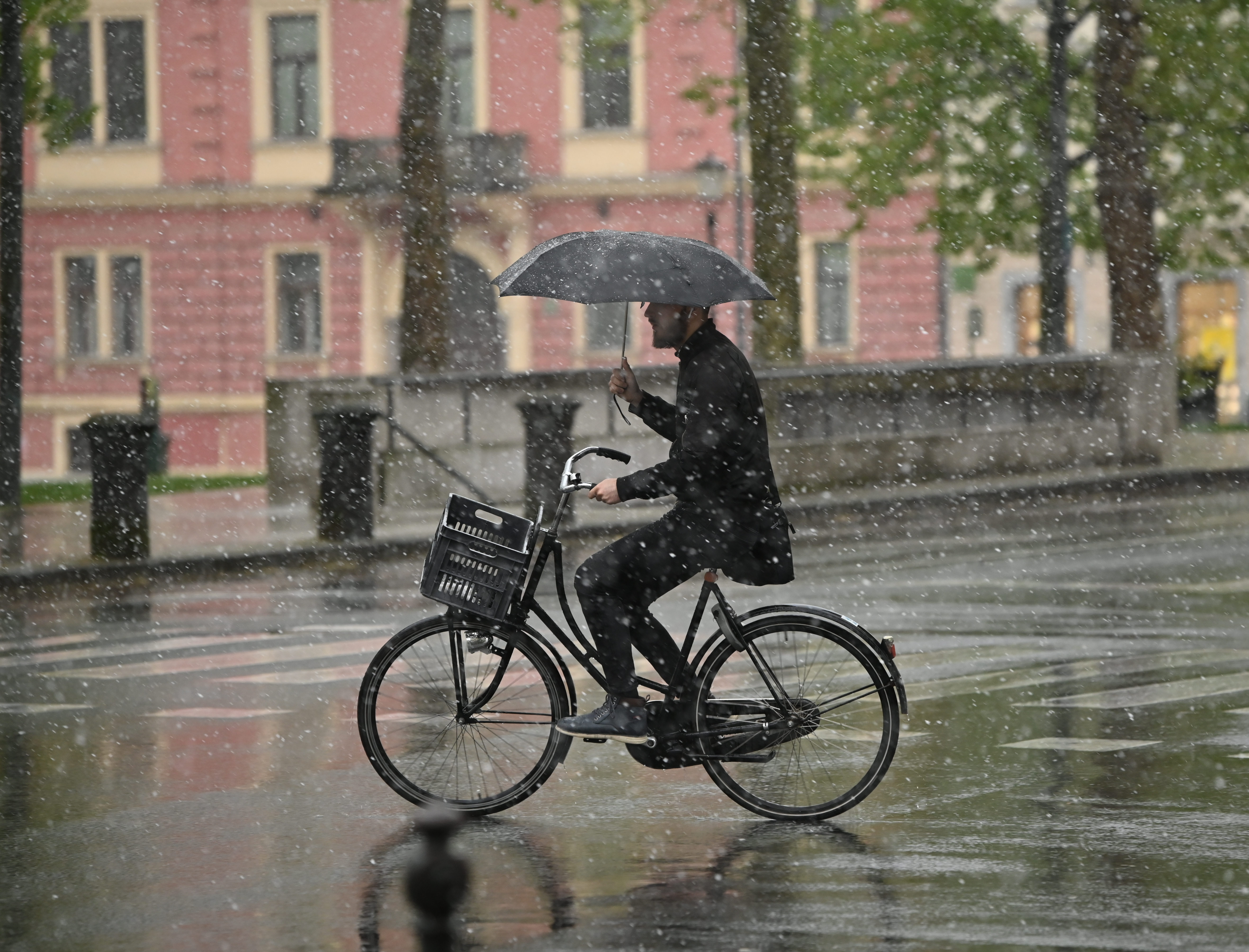 Sneg v Ljubljani (Foto: Žiga Živulović jr./BOBO)