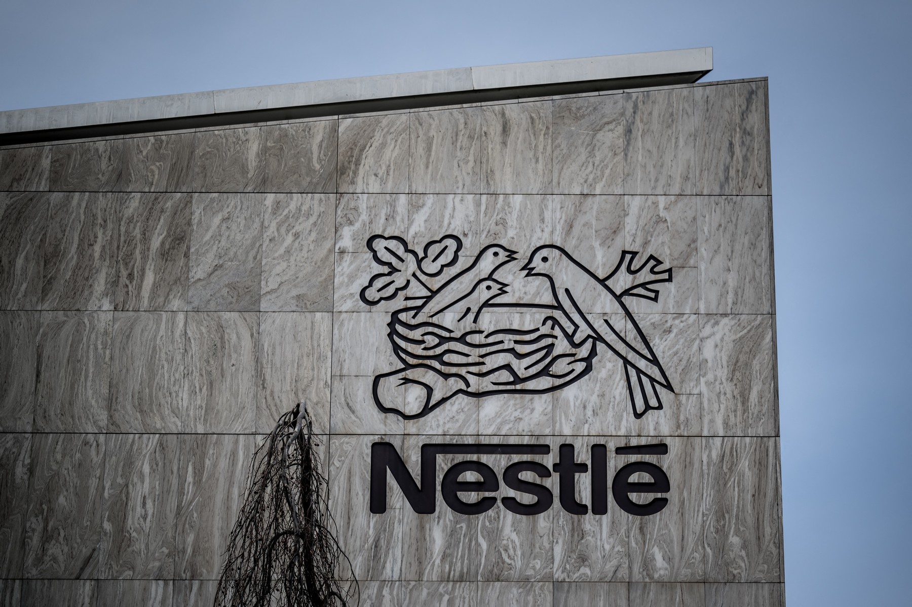 nestle