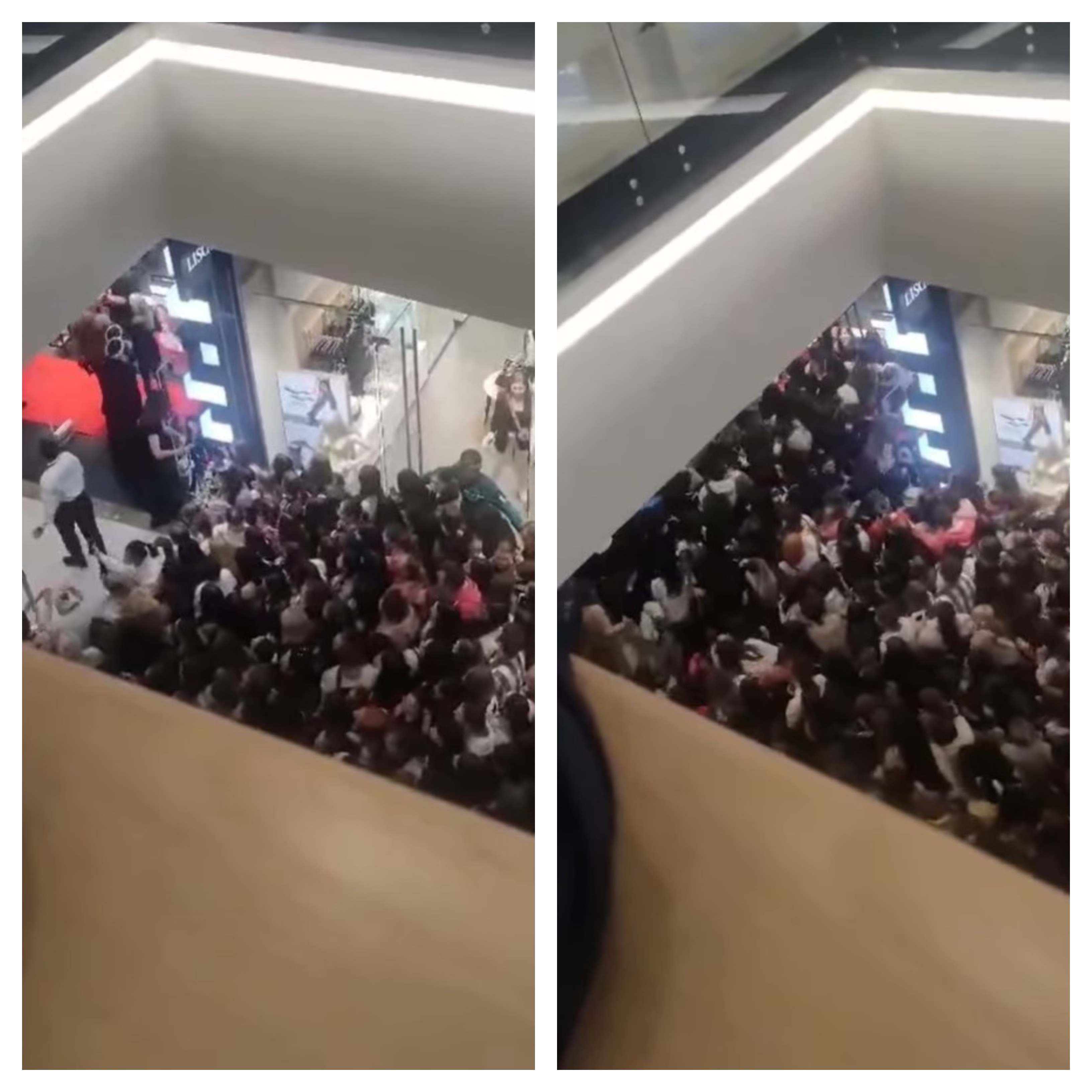 Novi Sad, Srbija, stampedo, trgovina, potrošniška mrzlica