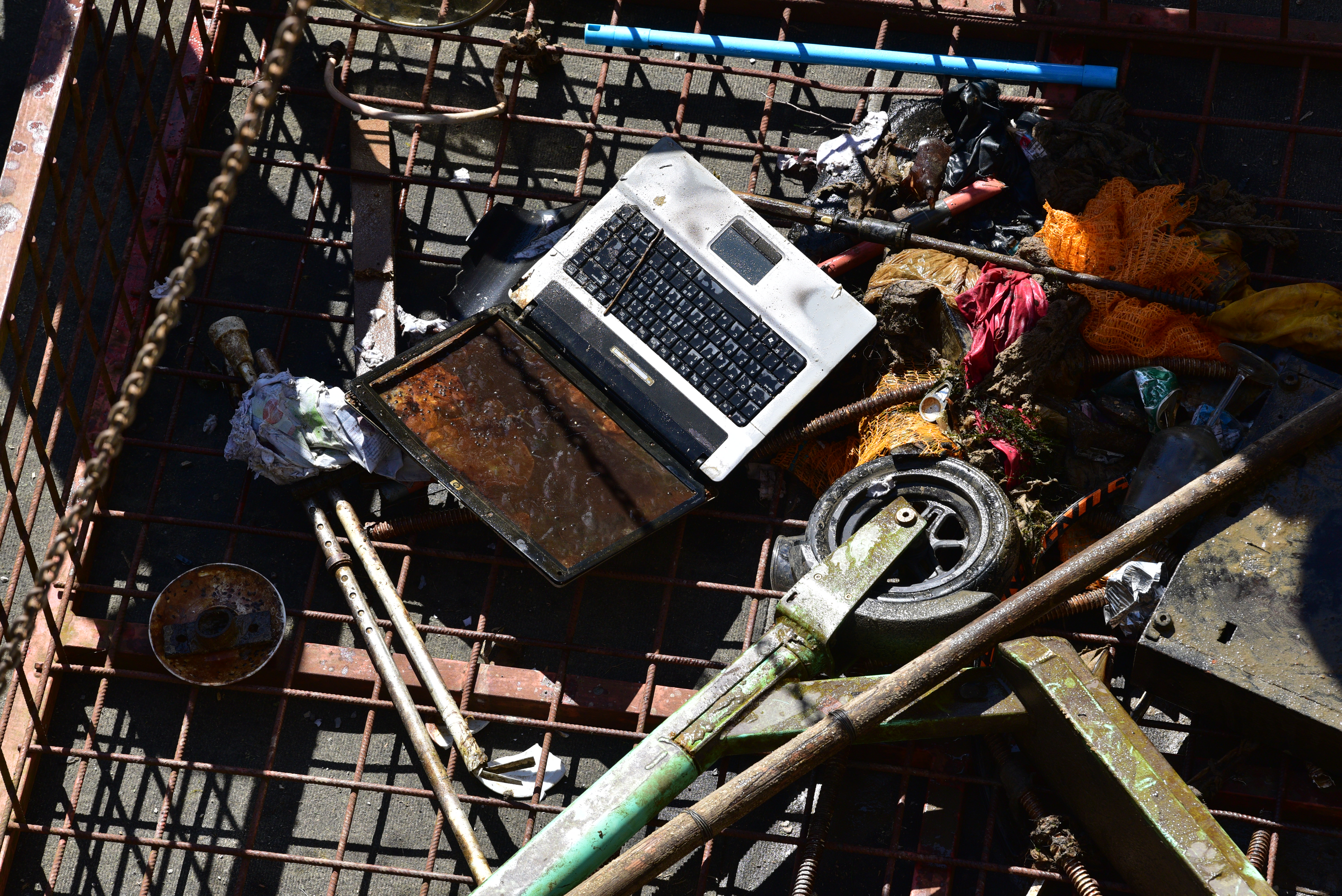 Čiščenje Ljubljanice (Foto: Igor Kupljenik/BOBO)
