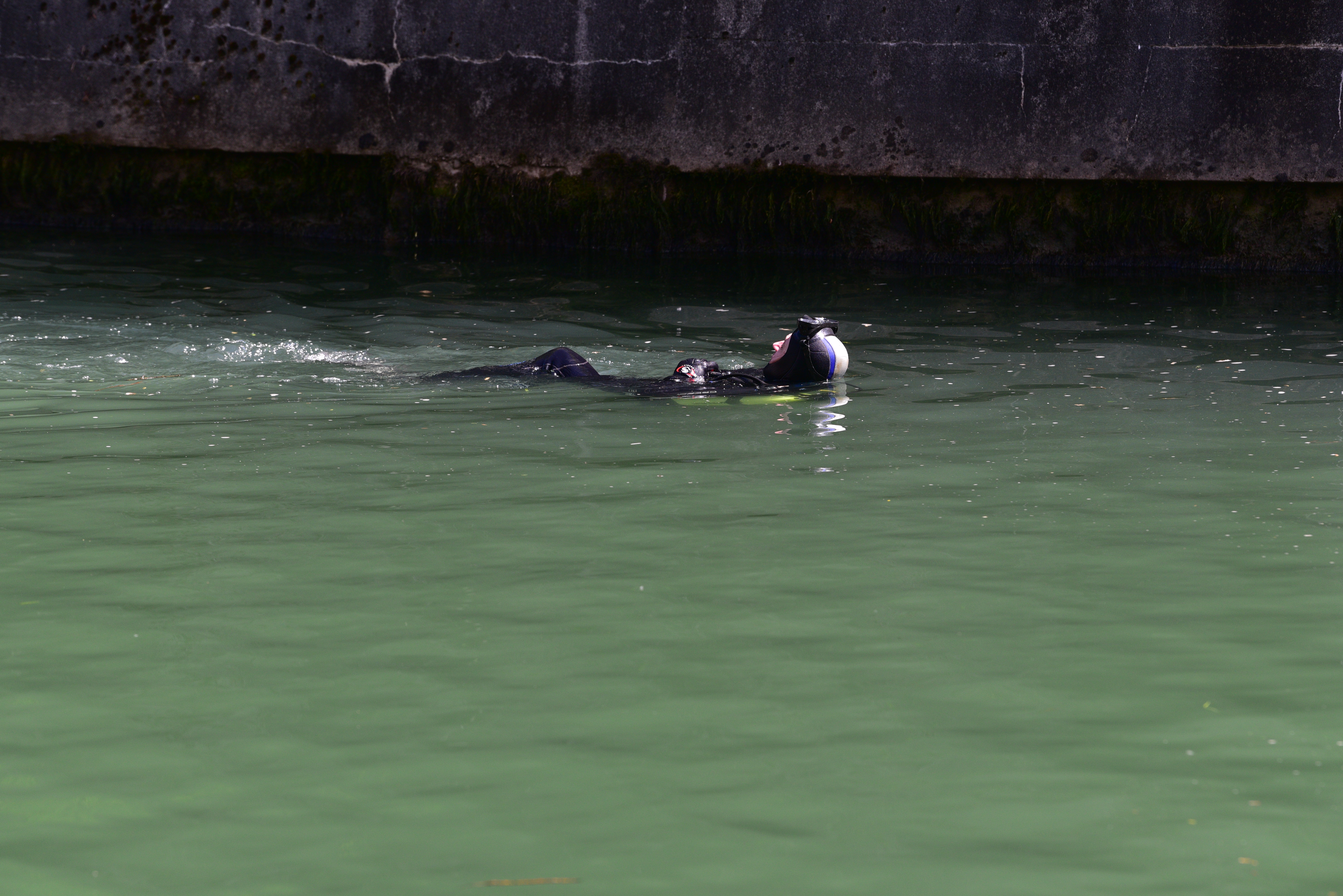 Čiščenje Ljubljanice