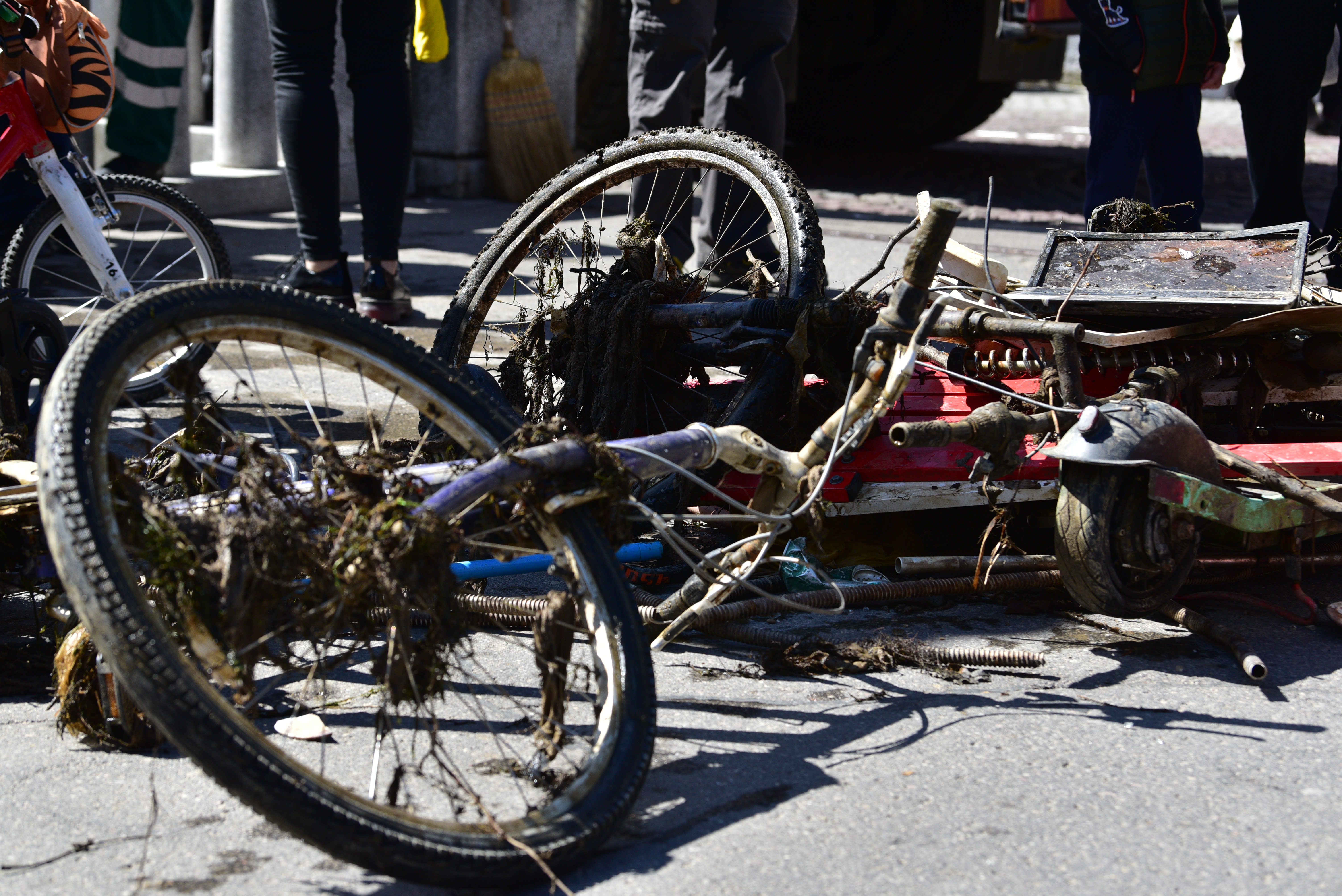 Čiščenje Ljubljanice