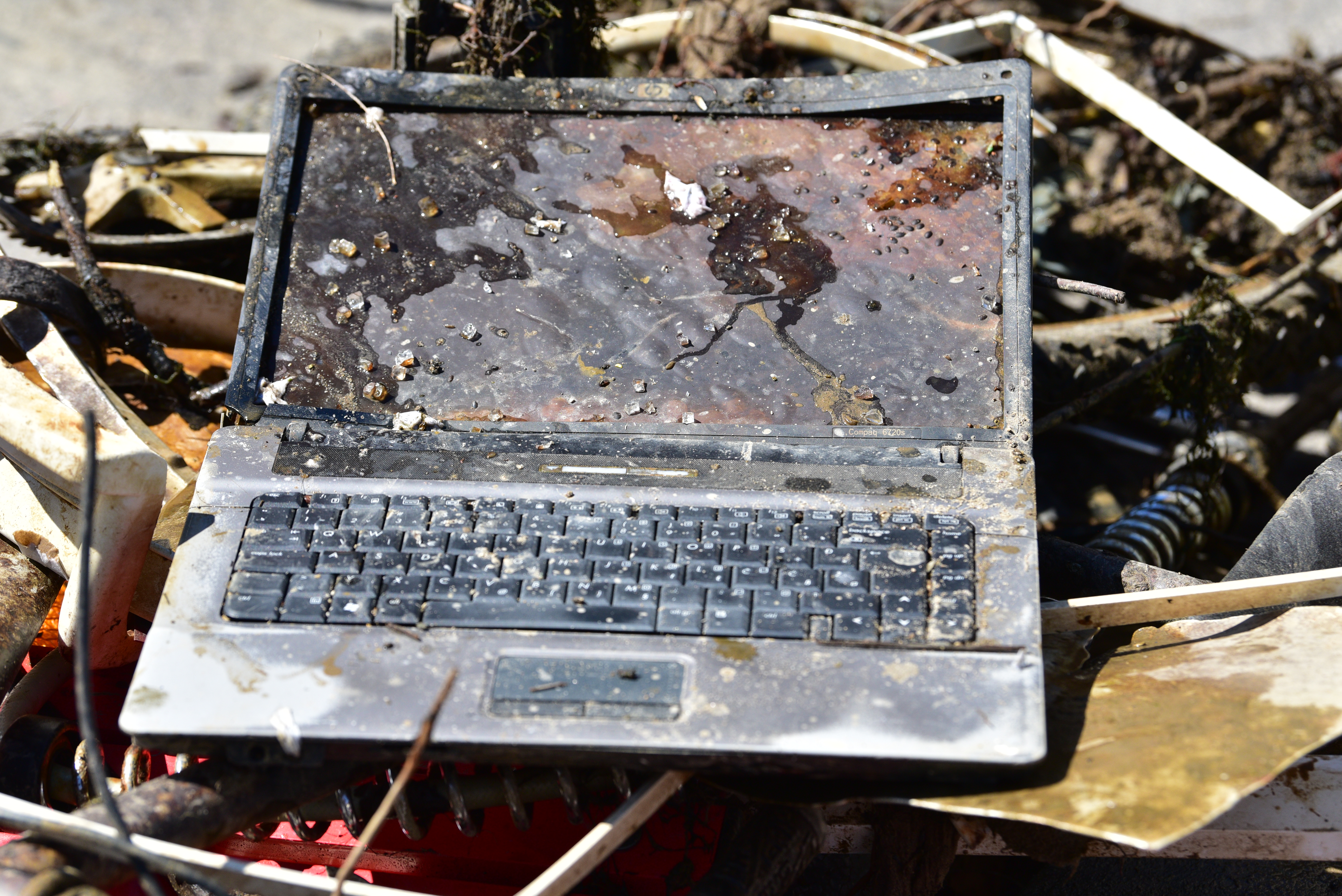 Čiščenje Ljubljanice