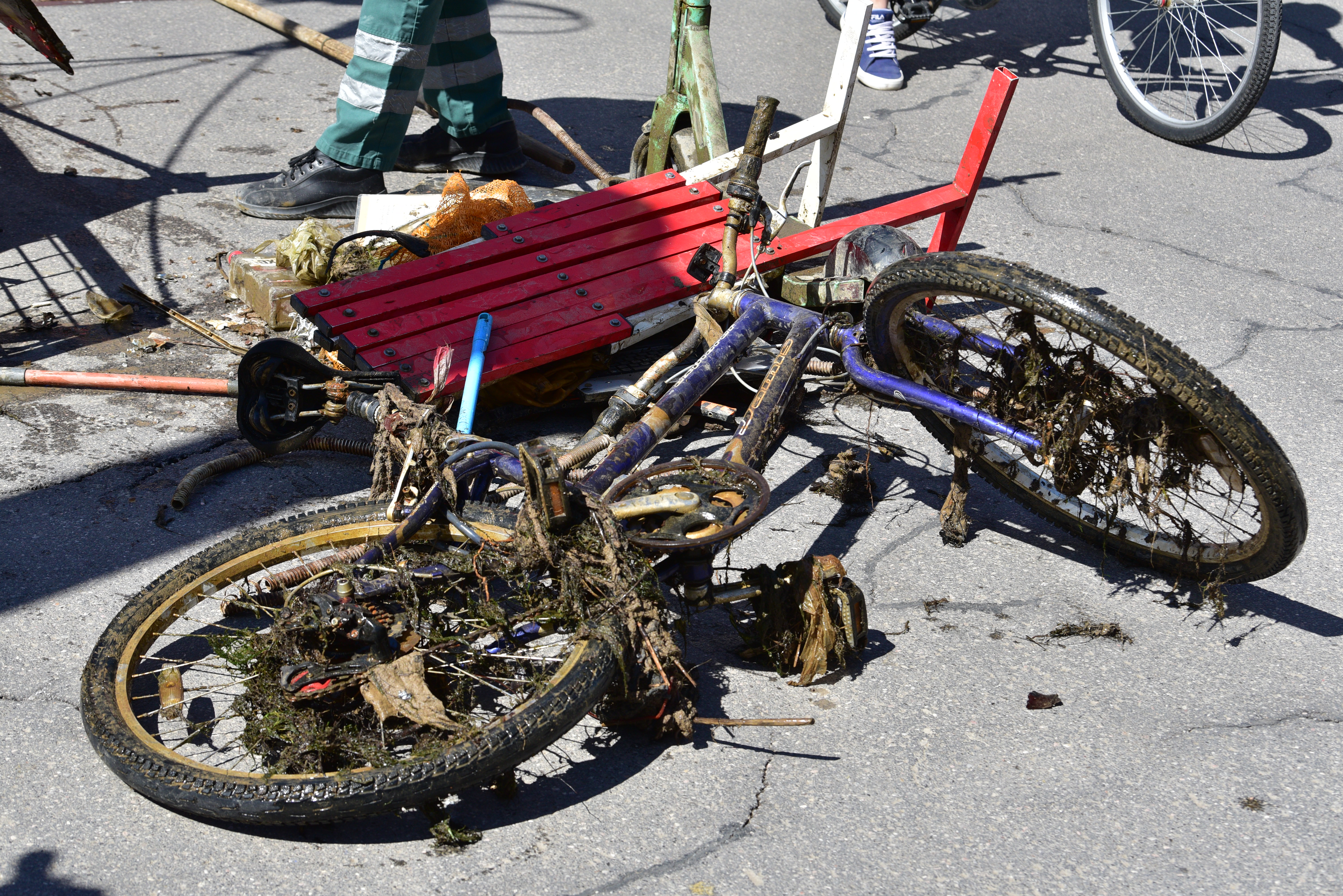 Čiščenje Ljubljanice