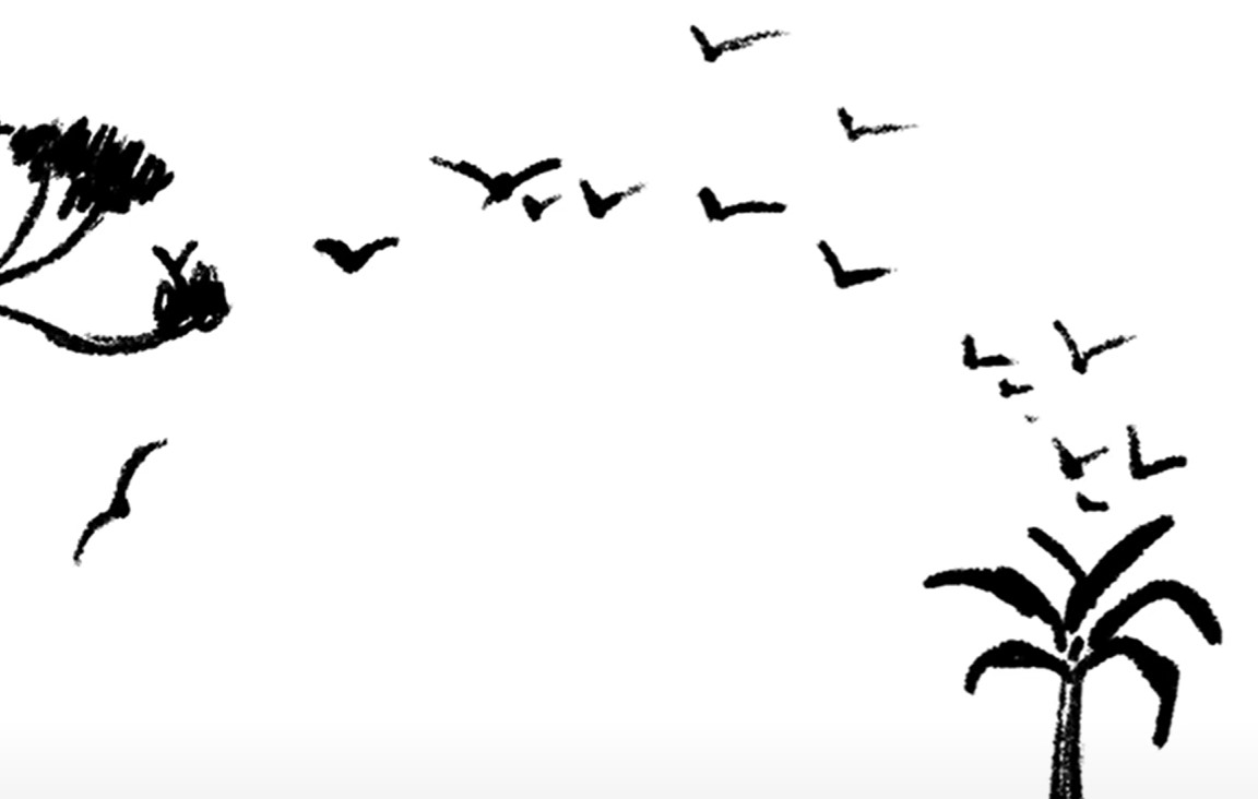 optična iluzija, slon