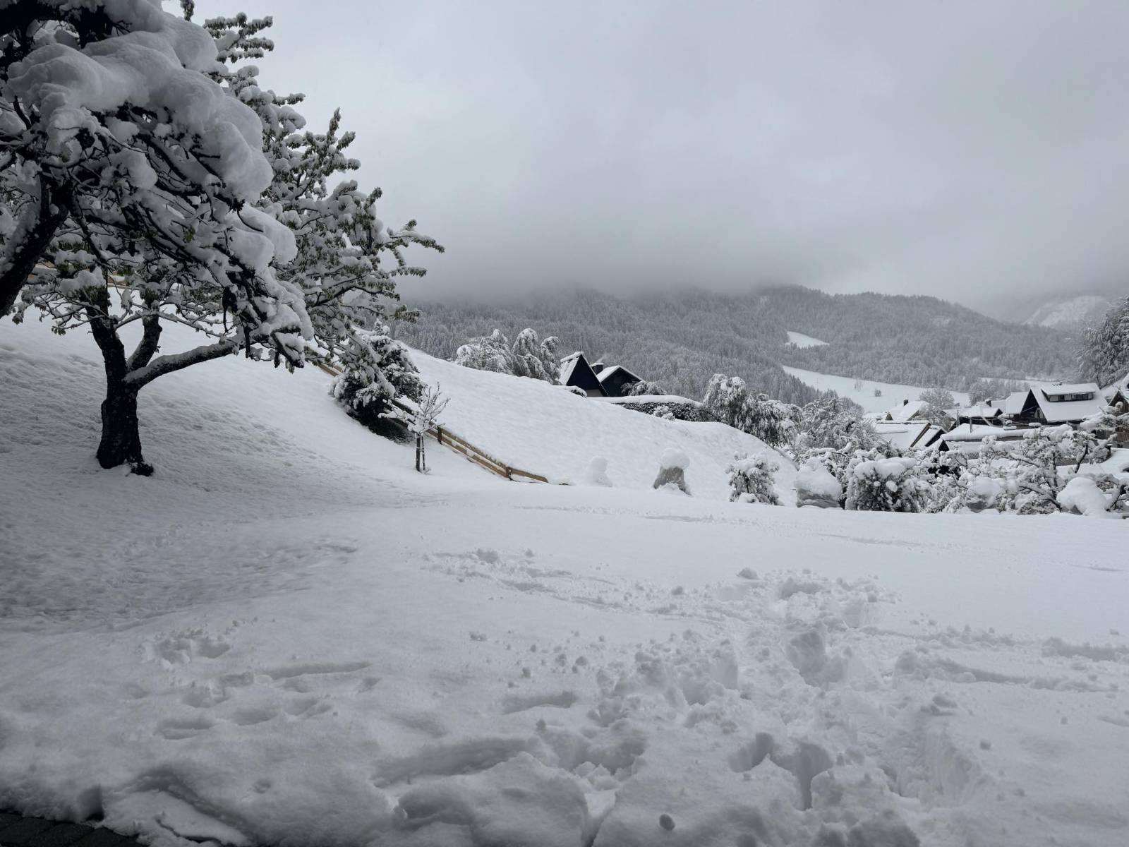 Podkoren, sneg, vreme