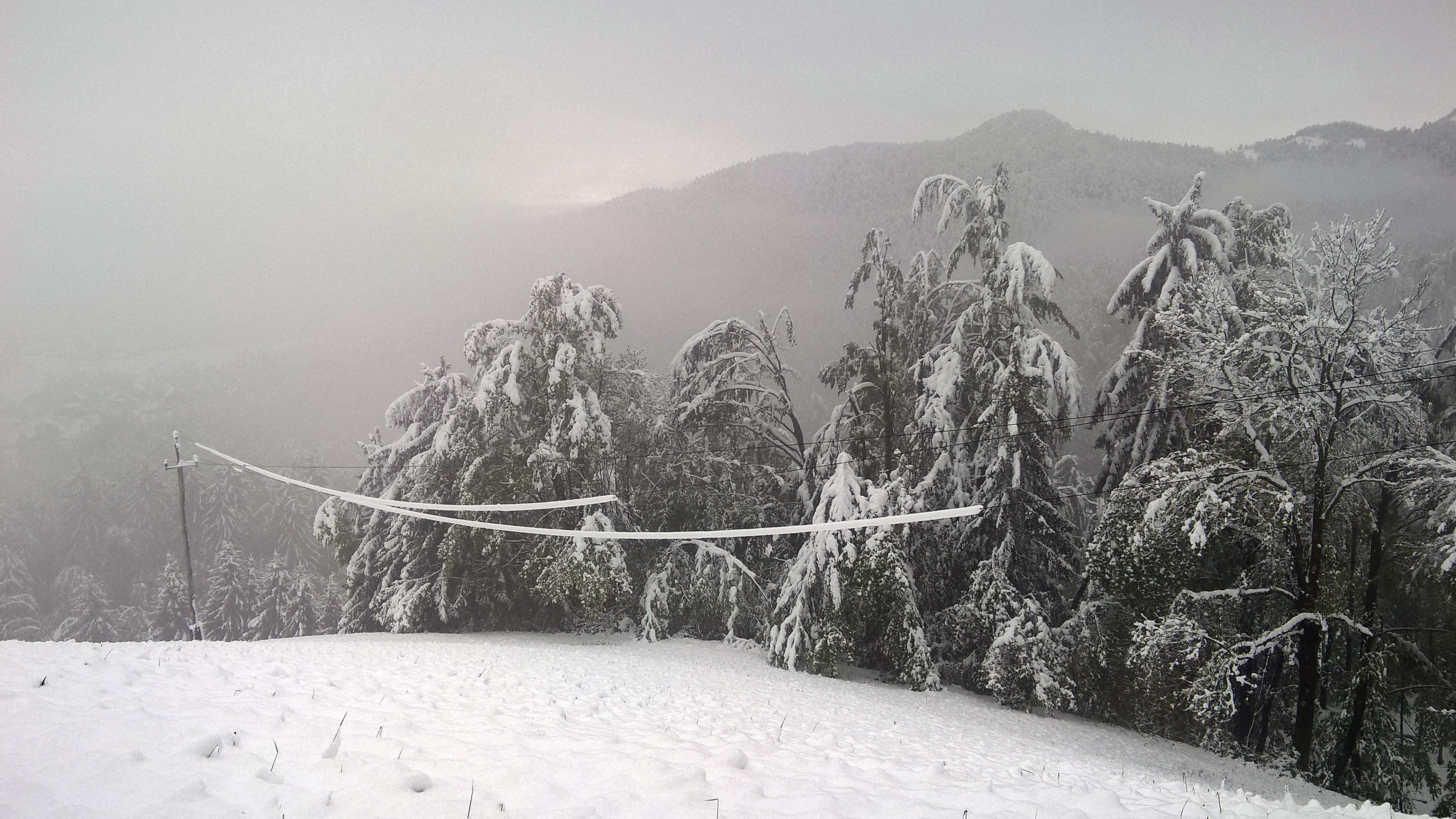 Foto: Srdjan Živulović/BOBO