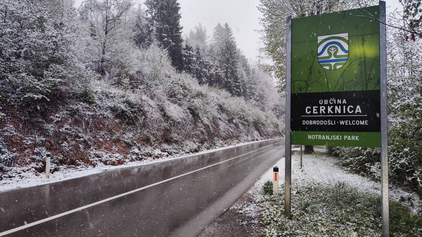 signal-2024-04-23-184858_005