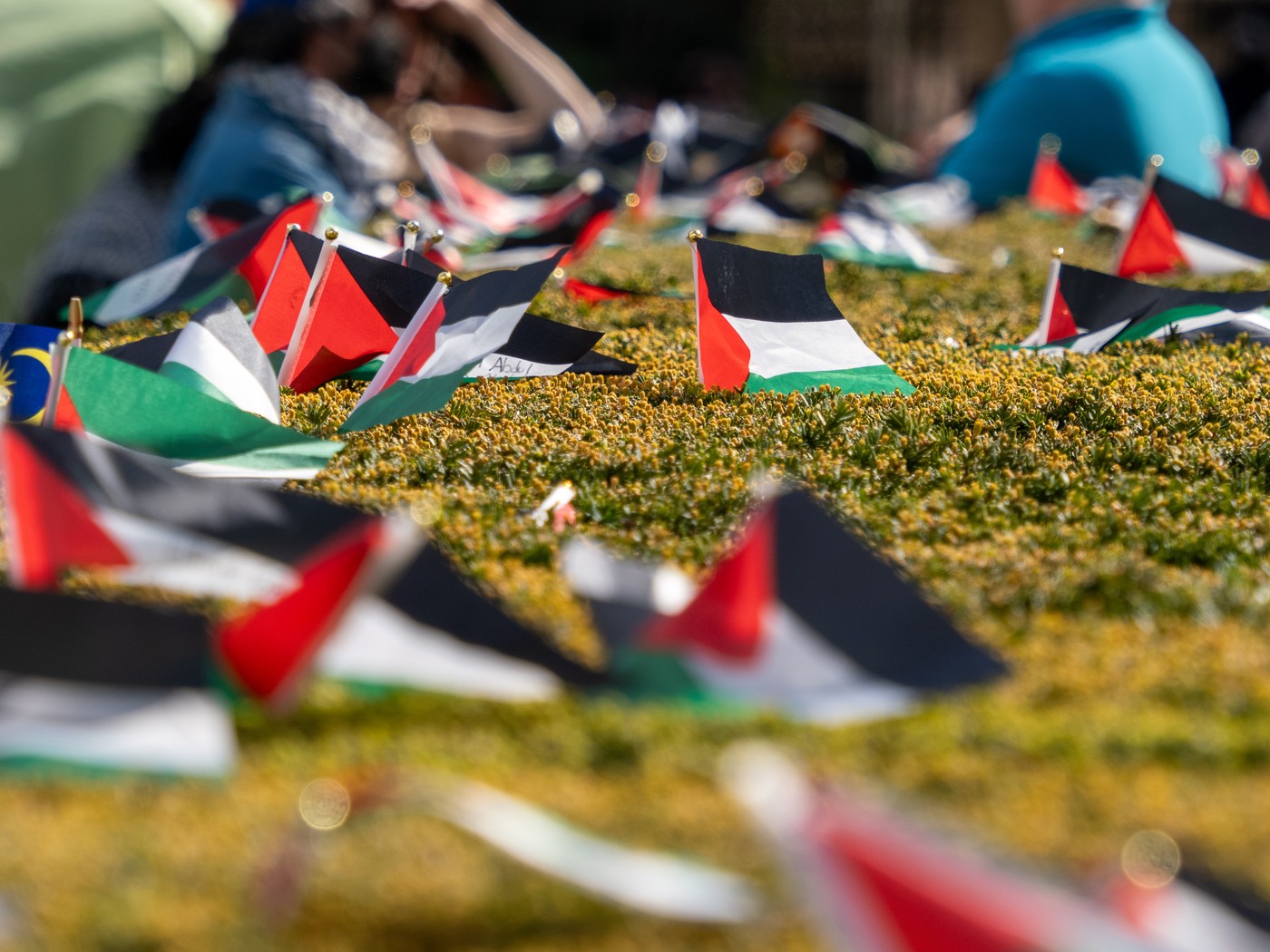 študenti, protest, zda