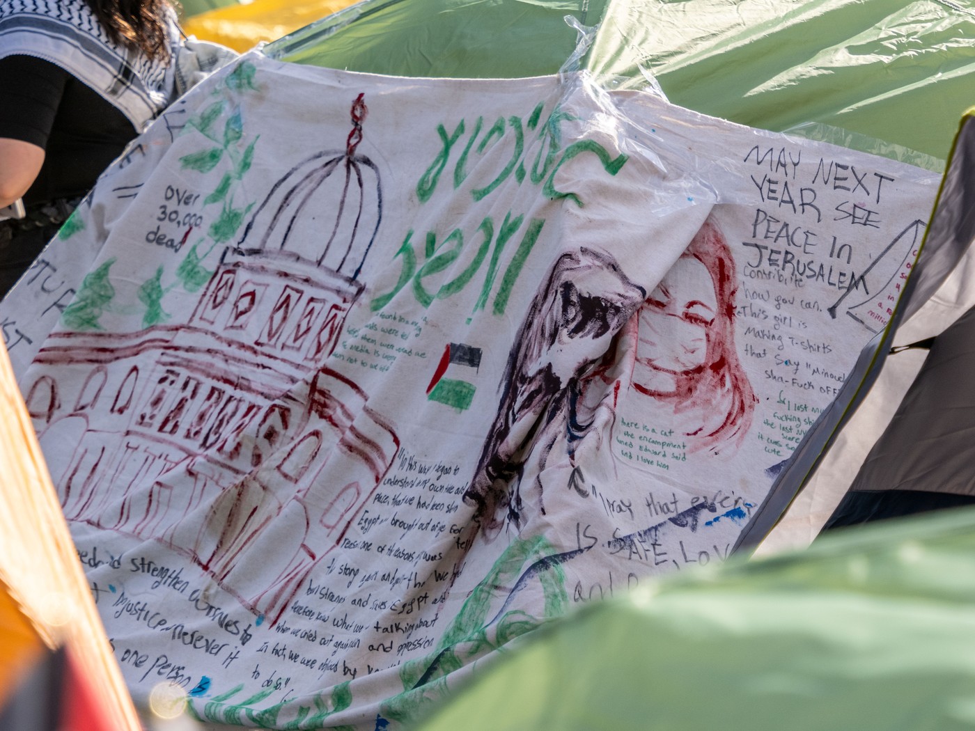 študenti, protest, zda