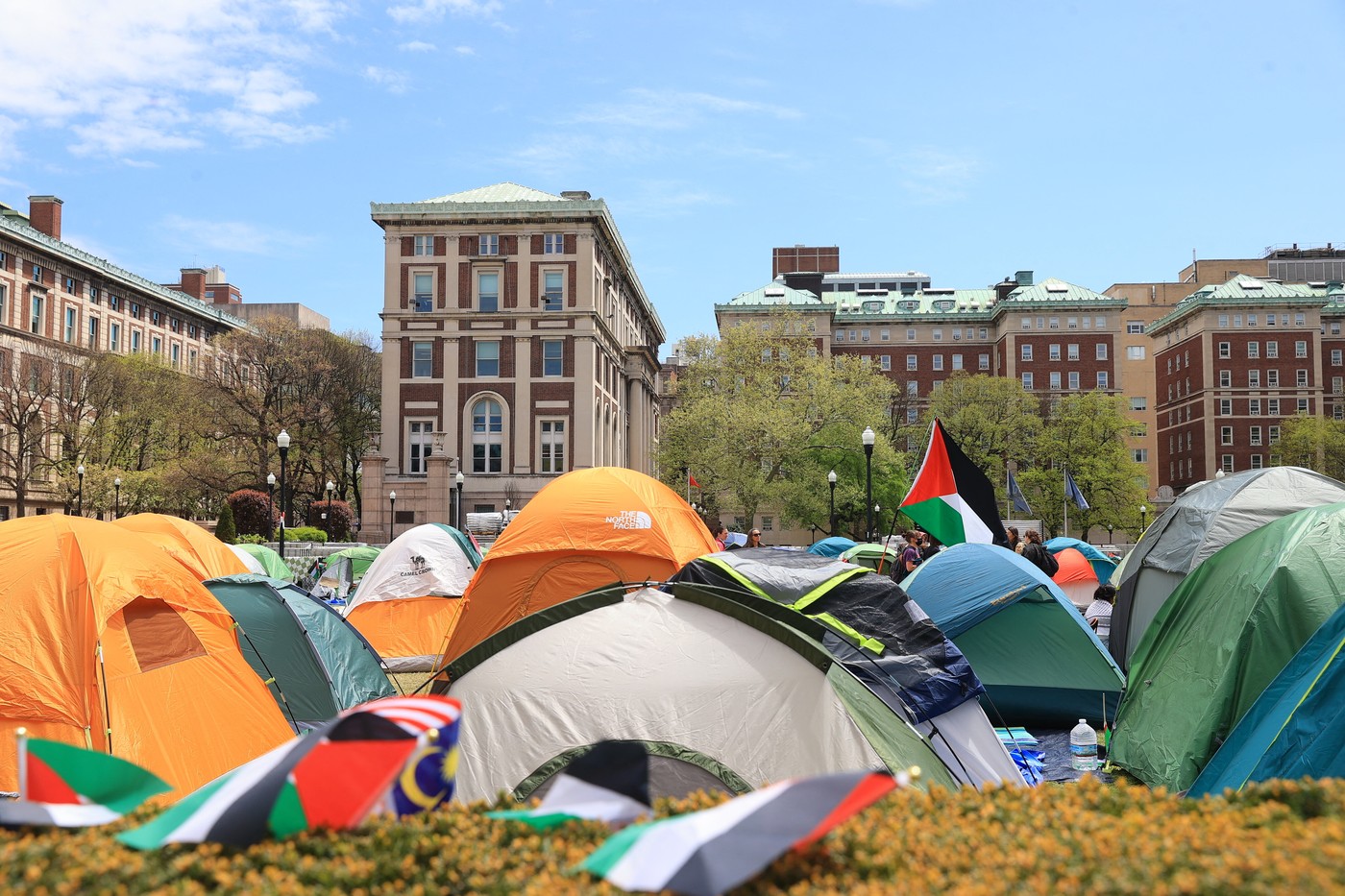 ZDA, UNIVERZA, IZRAEL, PALESTINCI, PROTEST