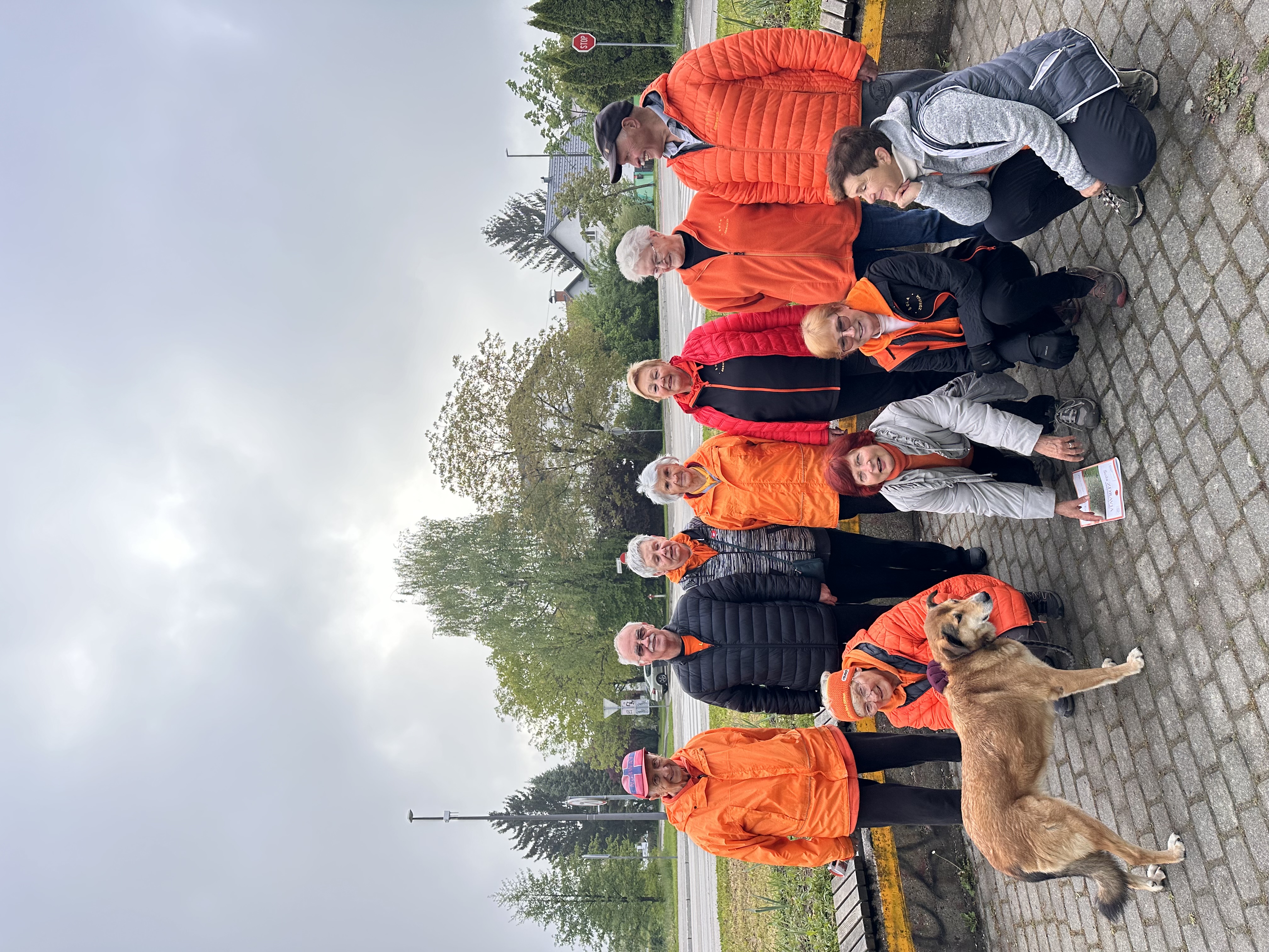 šola zdravja, jutranja telovadba, vič