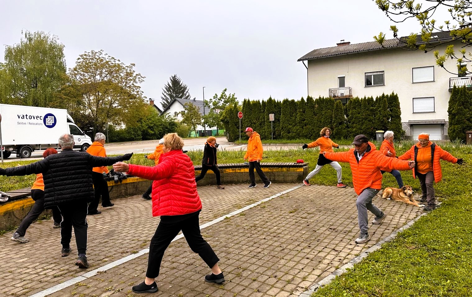 jutranja telovadba, šola zdravja, viški park