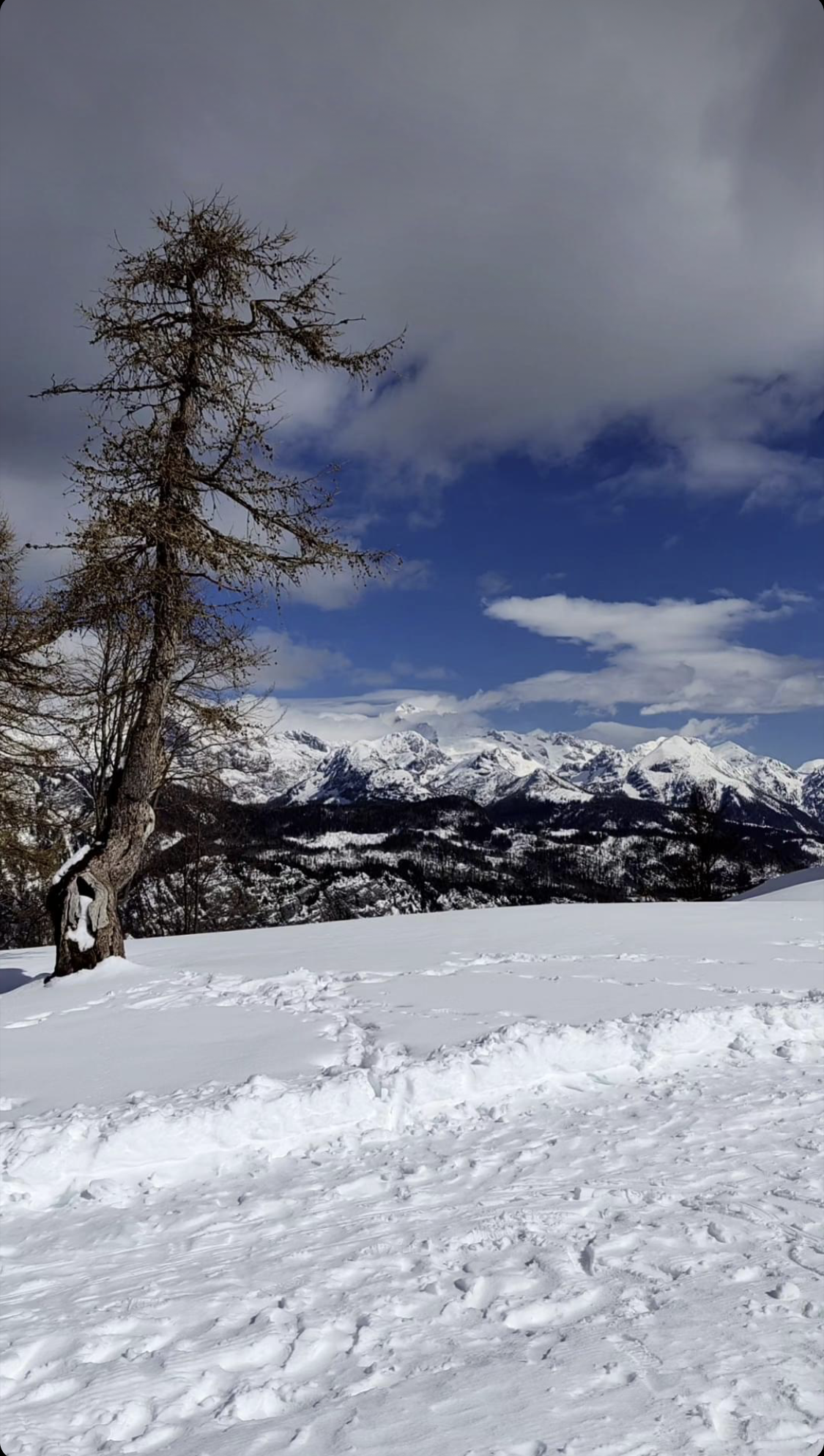 Foto: Zajem zaslona/@Vogel Ski Center/FACEBOOK