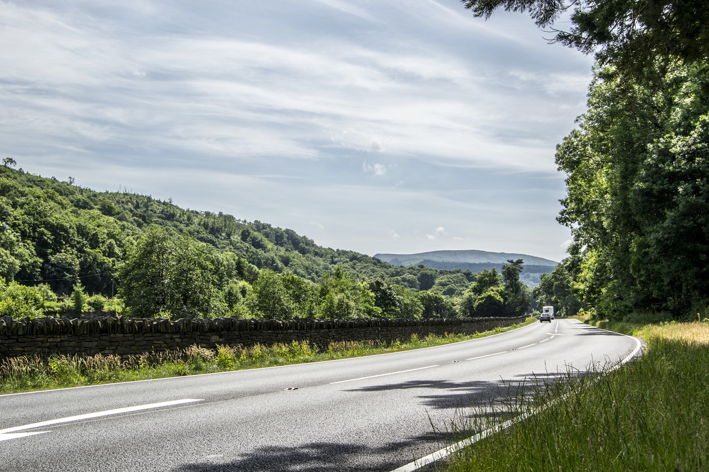 Road into Countryside with Trees