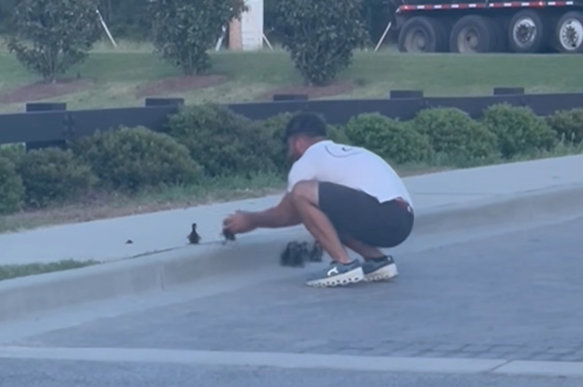 race, račke, reševanje