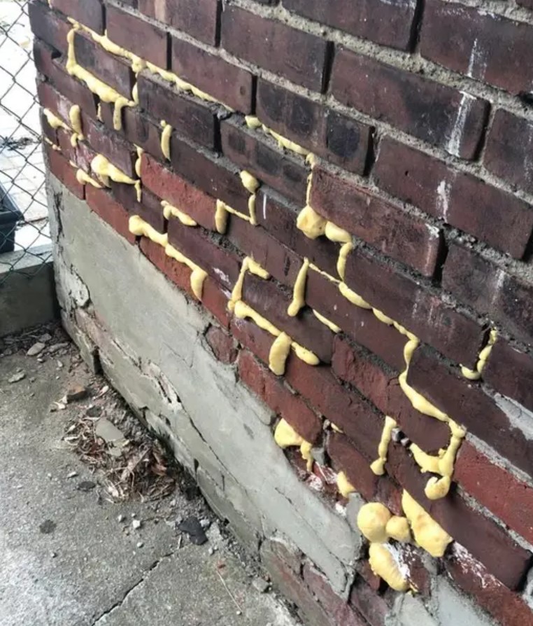 Foto: Zajem zasloina/REDDIT