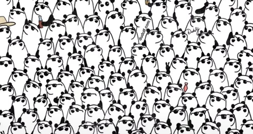 pande, optična uganka