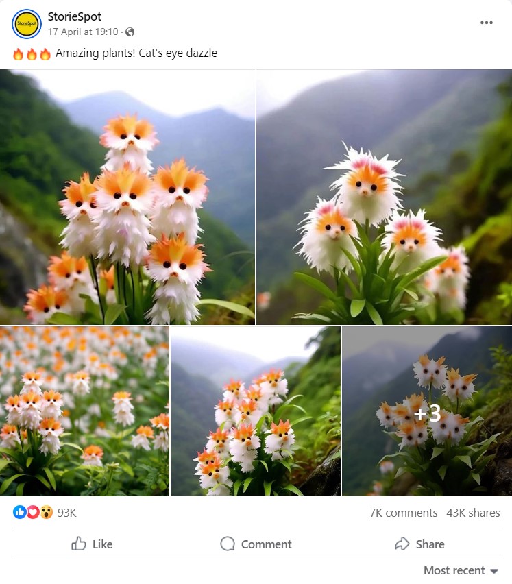 cat's eye dazzle, umetna inteligenca, roža, cvetica, prevara