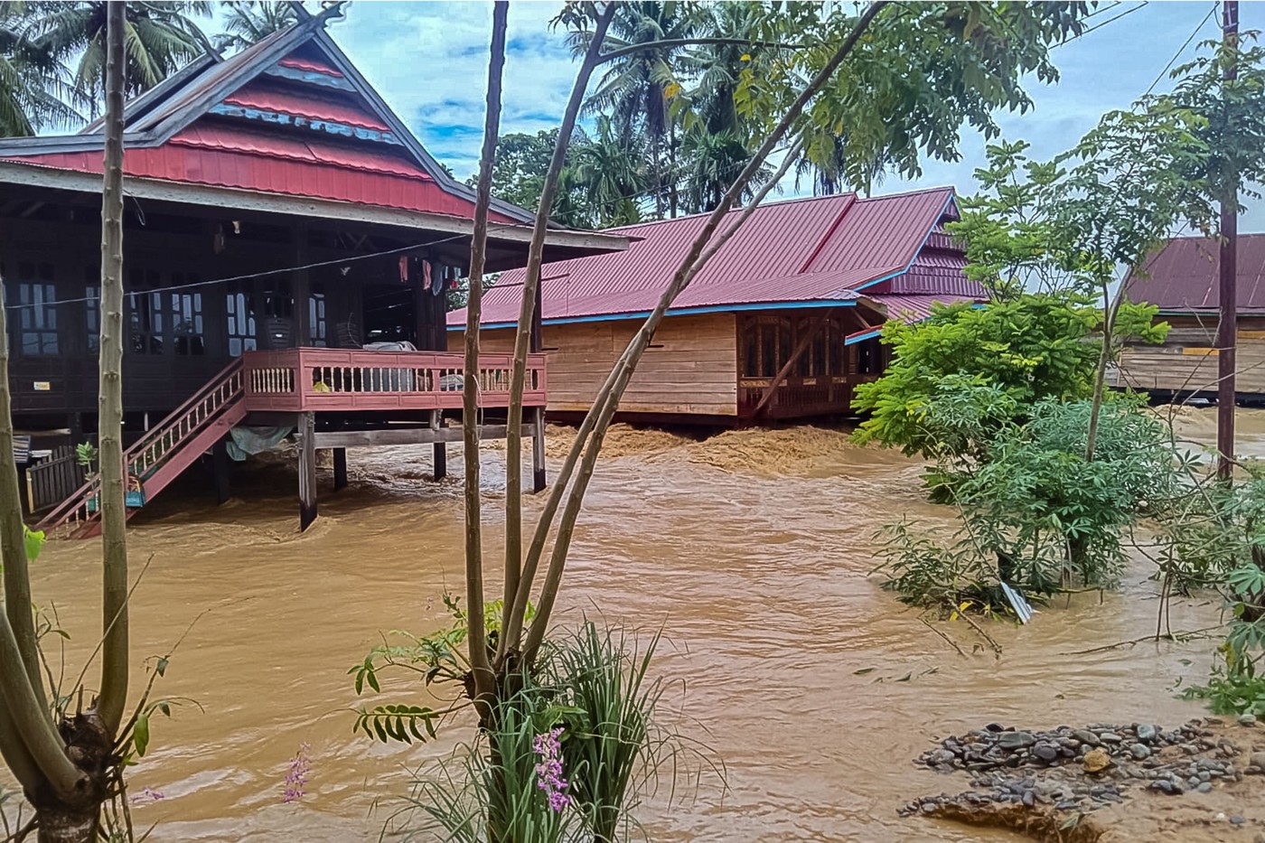 plaz, indonezija, sulavezi, poplave