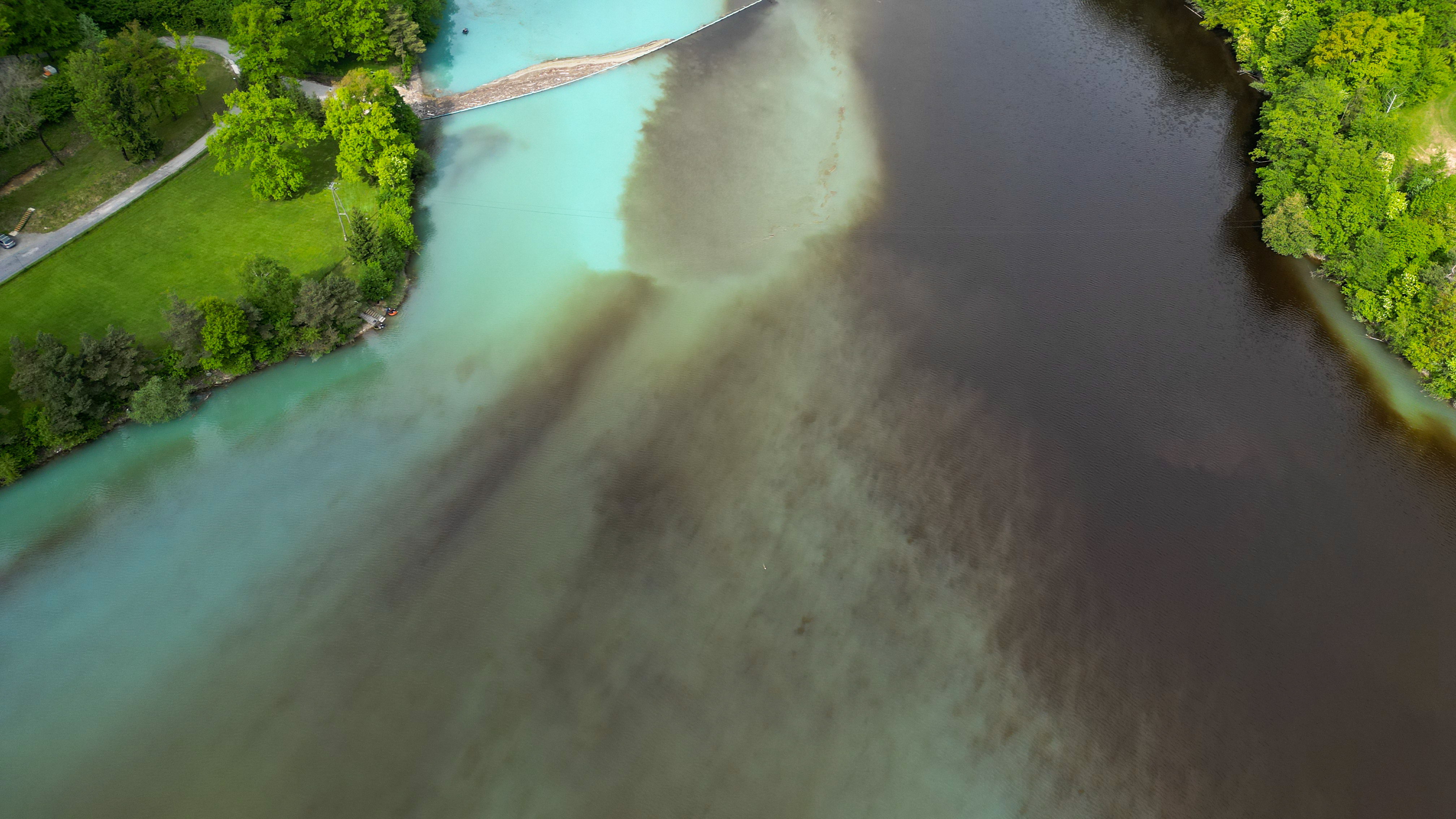 Foto: Denis Sadiković/N1