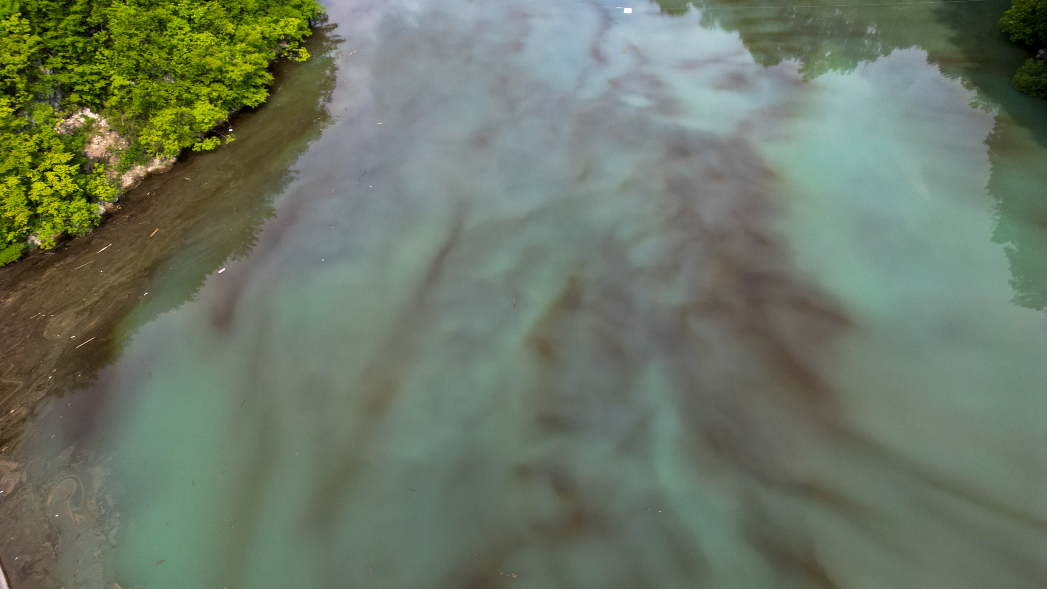 Foto: Denis Sadiković/N1