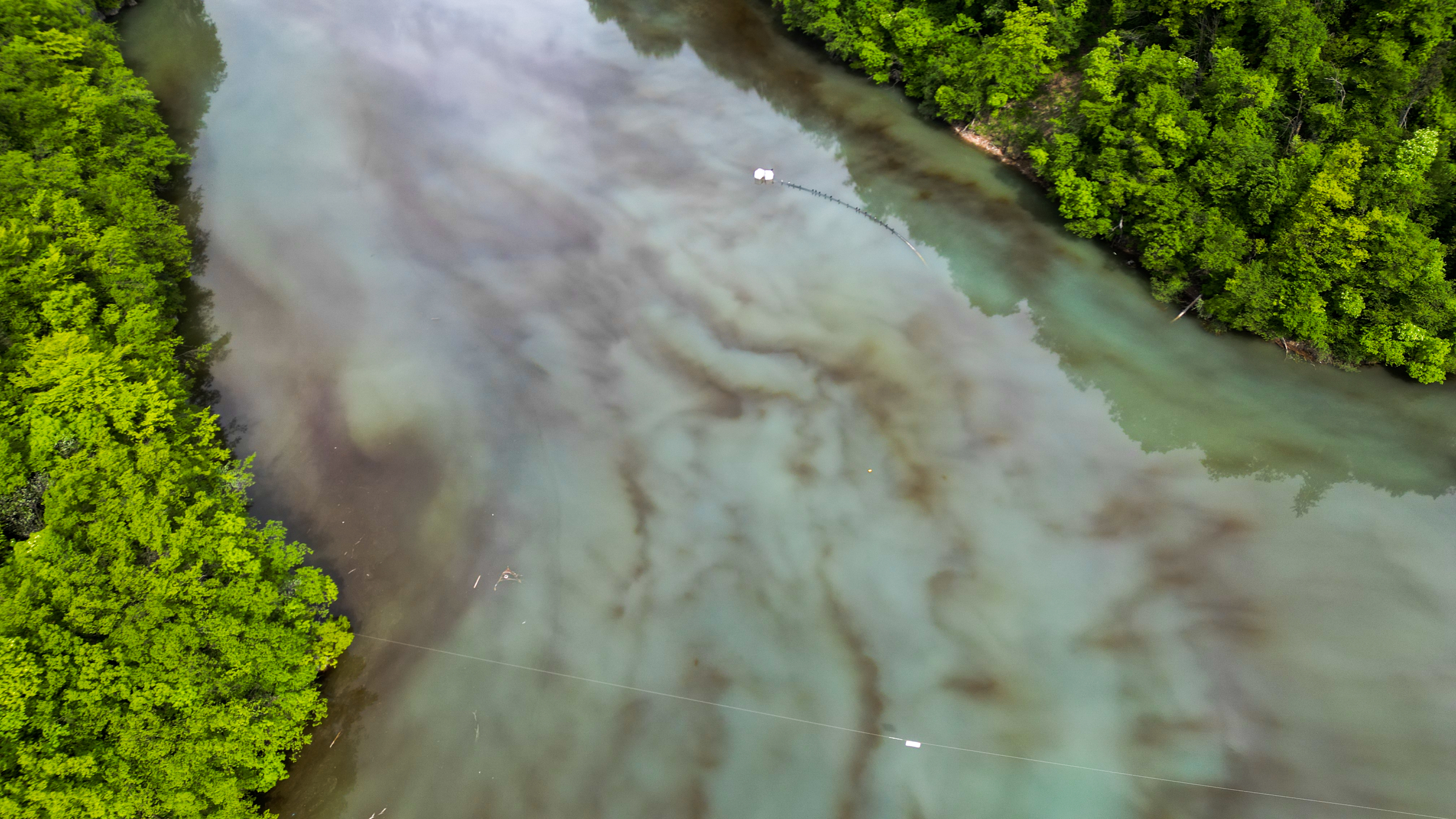 Foto: Denis Sadiković/N1