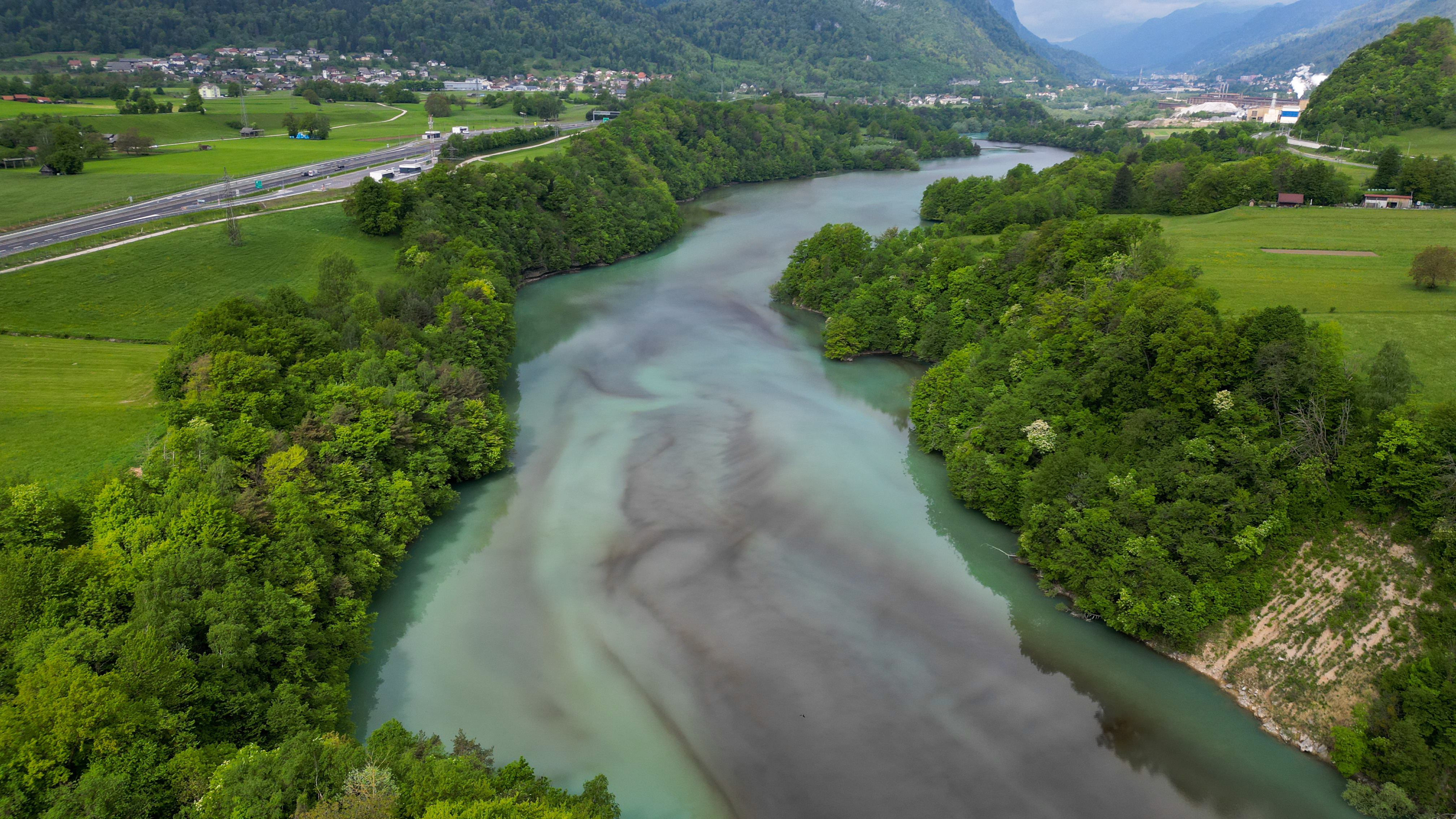 Sava Dolinka, cvetenje alg