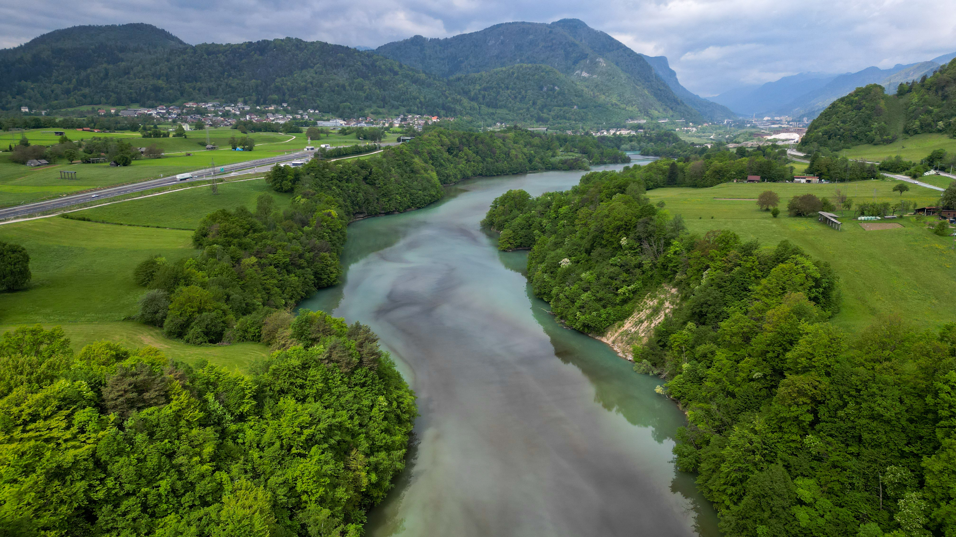 Sava Dolinka, cvetenje alg
