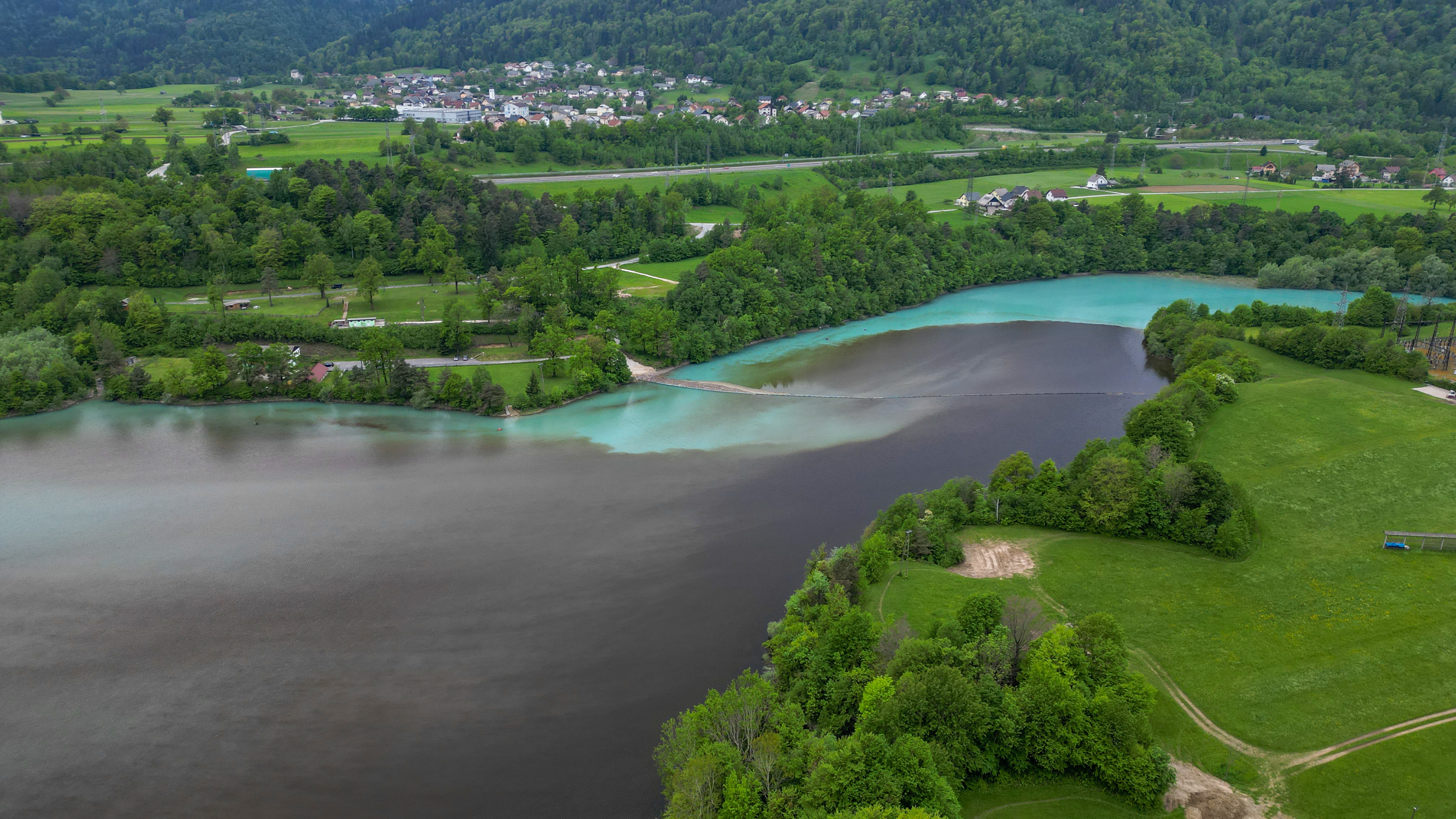 Sava Dolinka, cvetenje alg