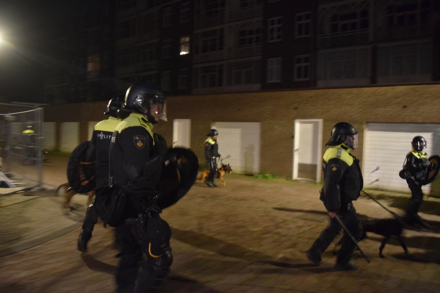 Propalestinski protest v Amsterdamu (Foto: PROFIMEDIA)