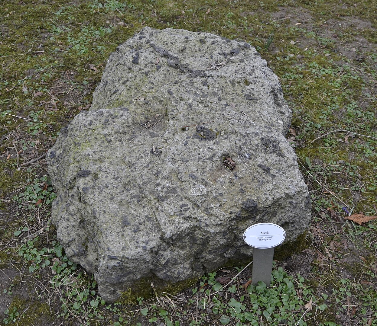 suevit, kamnina, Nördlingen, Nemčija, Bavarska