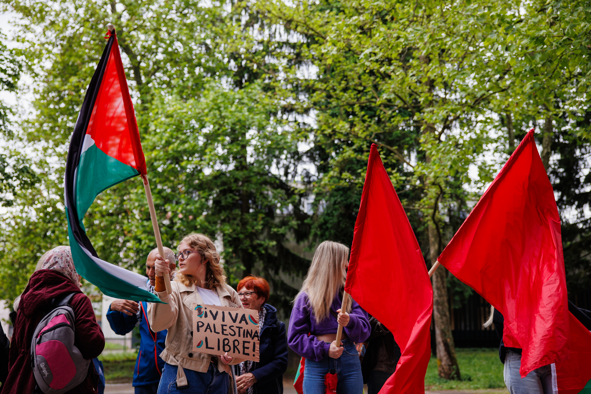 FDV, zasedba, študenti, Palestina