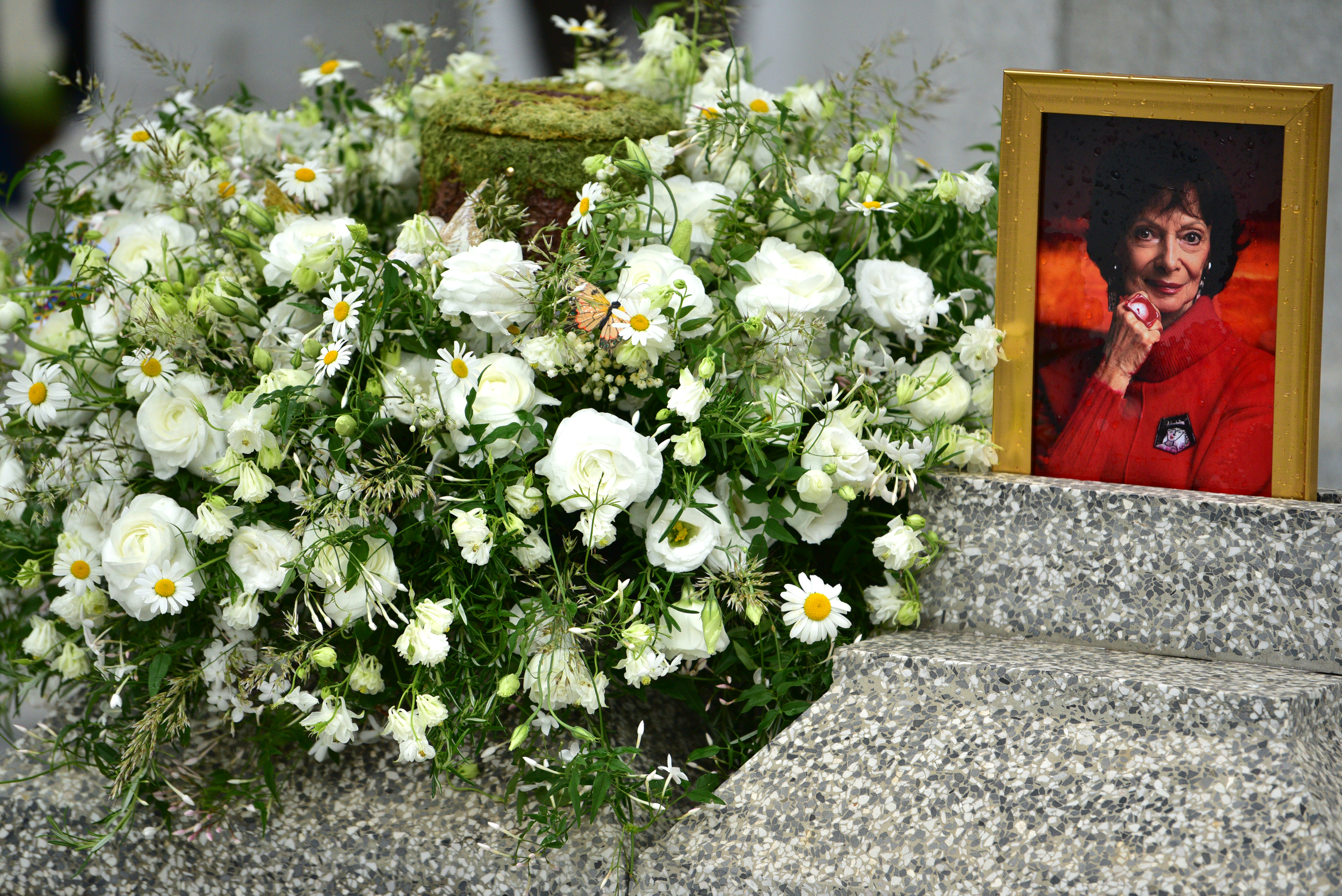 Foto: Igor Kupljenik/Bobo