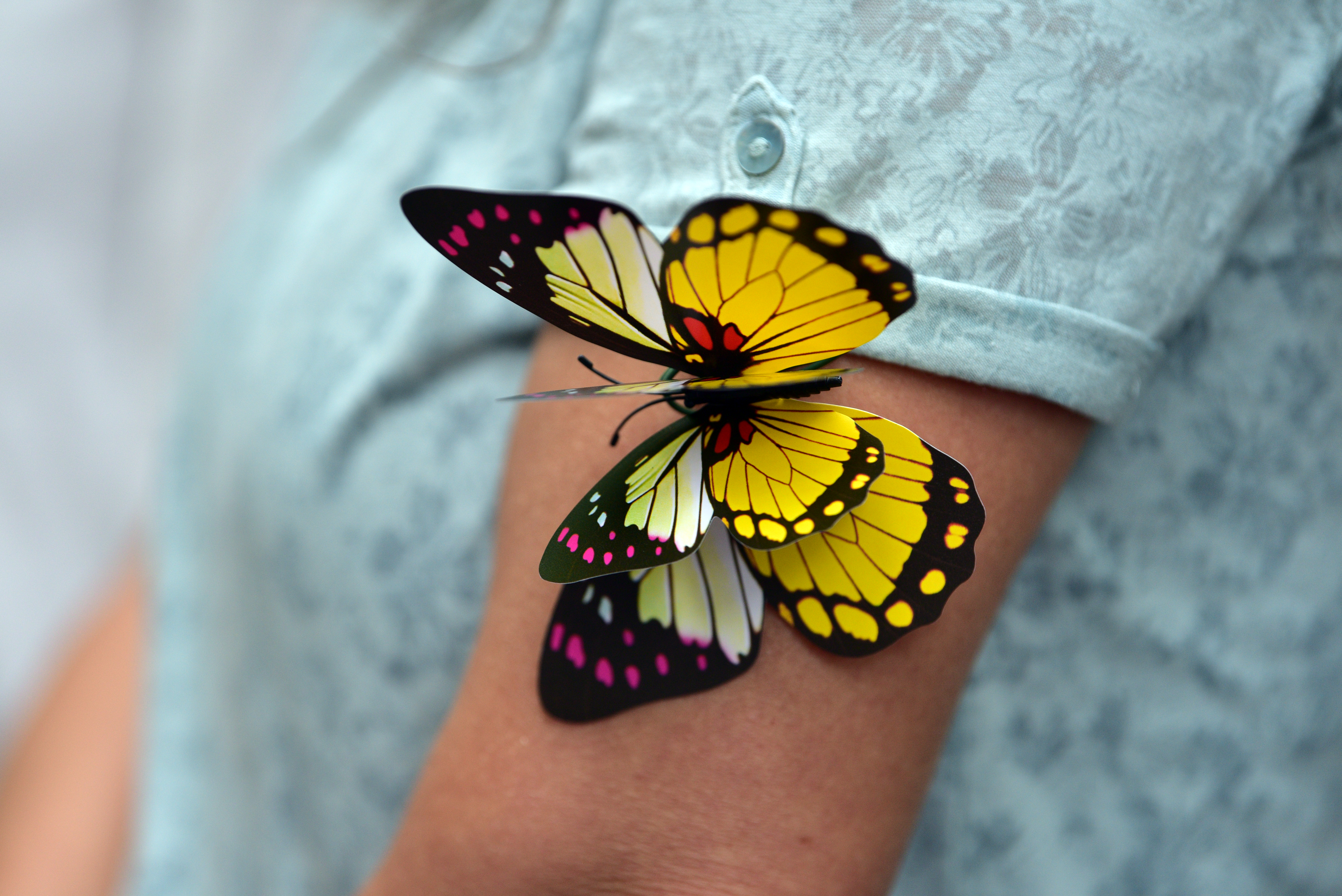 Foto: Igor Kupljenik/Bobo