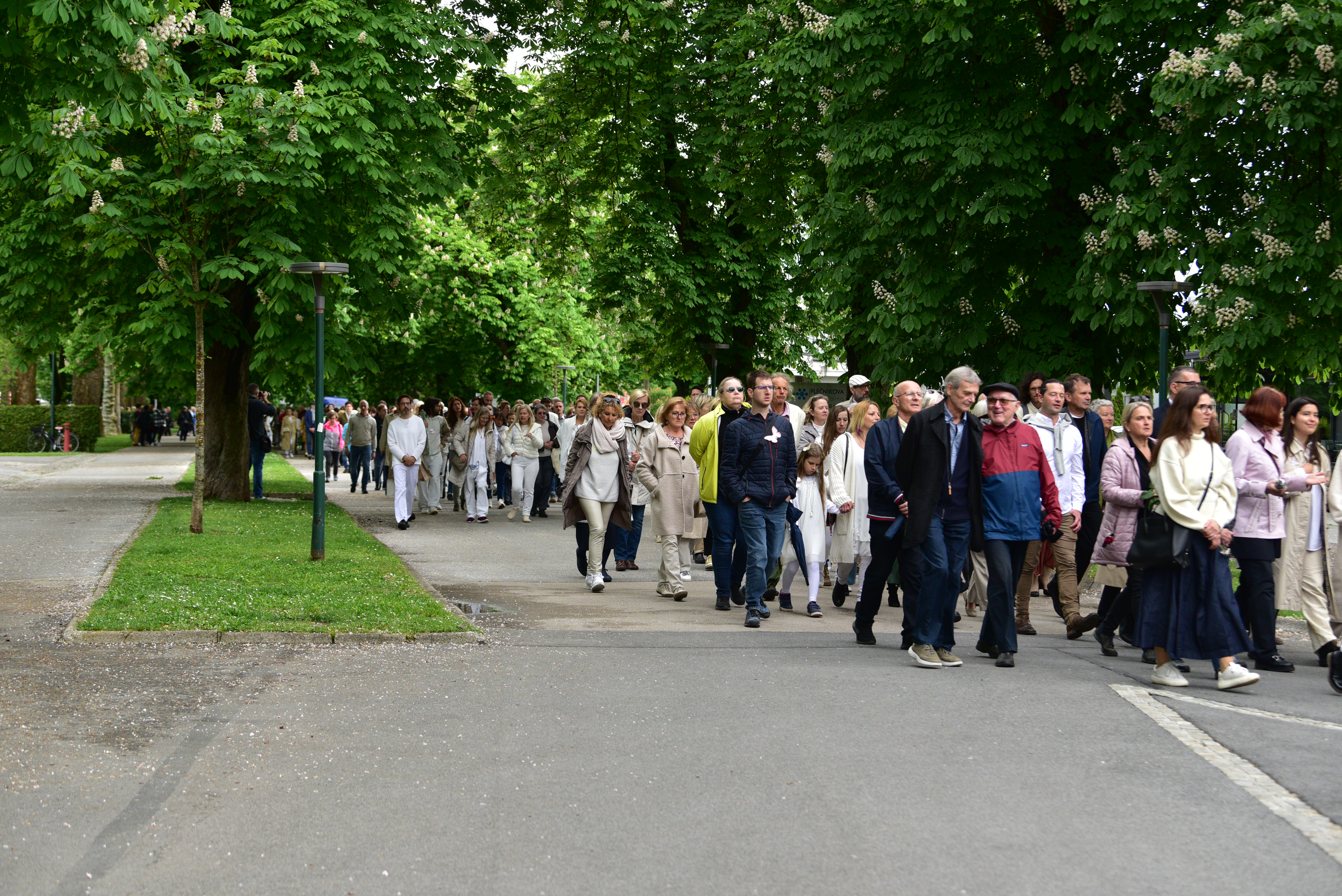 Foto: Igor Kupljenik/Bobo