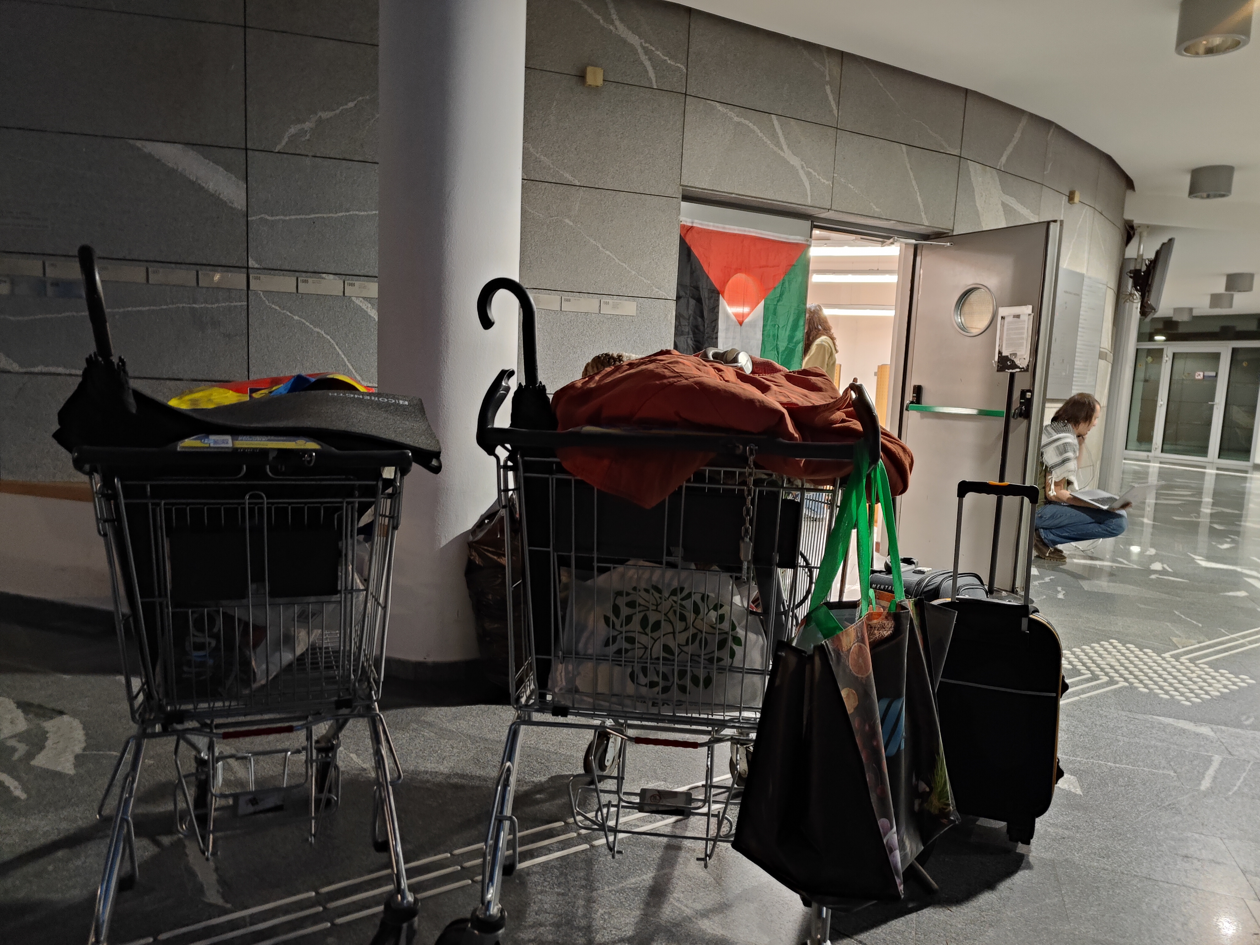 FDV, zasedba, študenti, Palestina