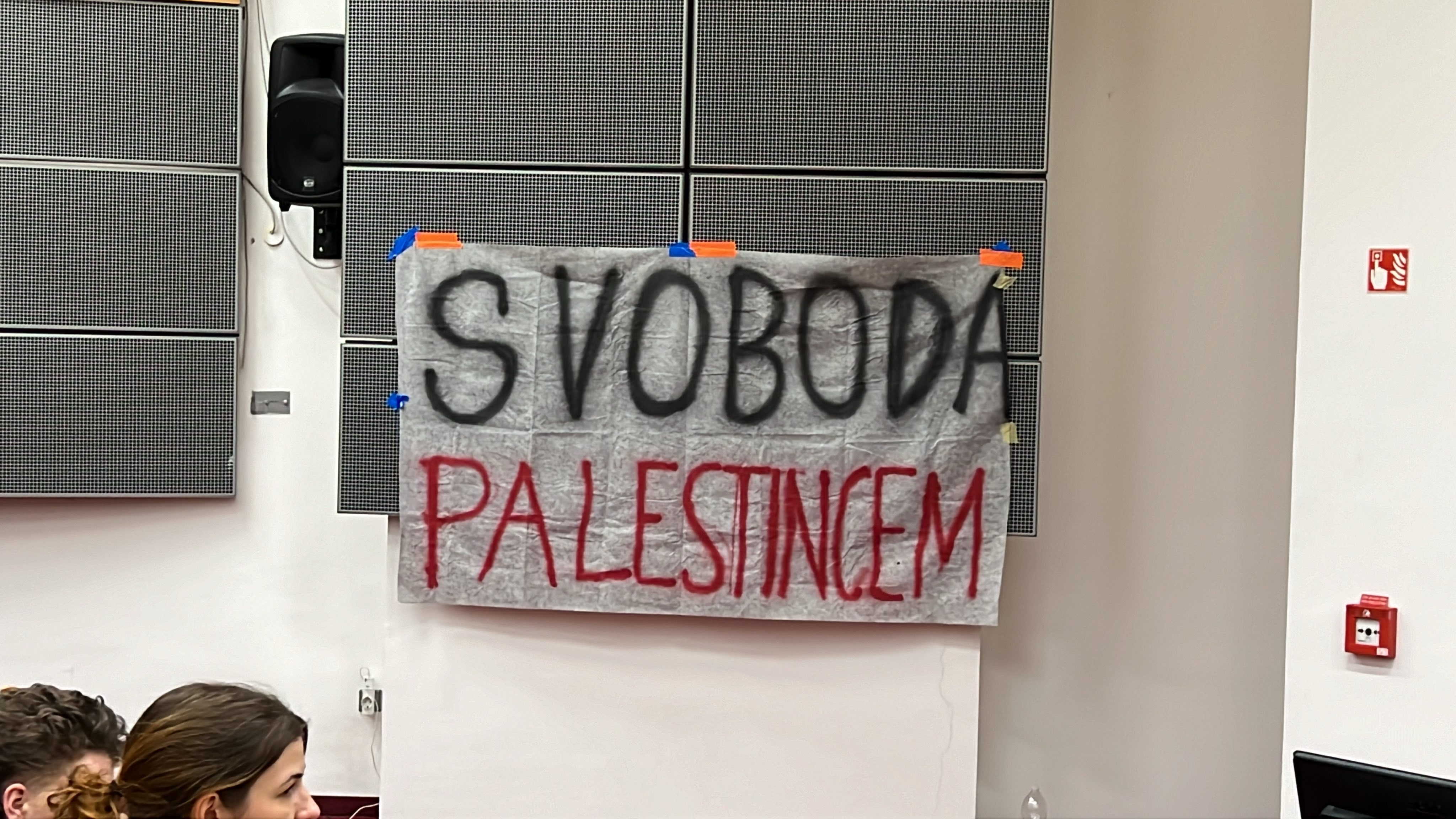 FDV, zasedba, Palestina, Študentski protesti