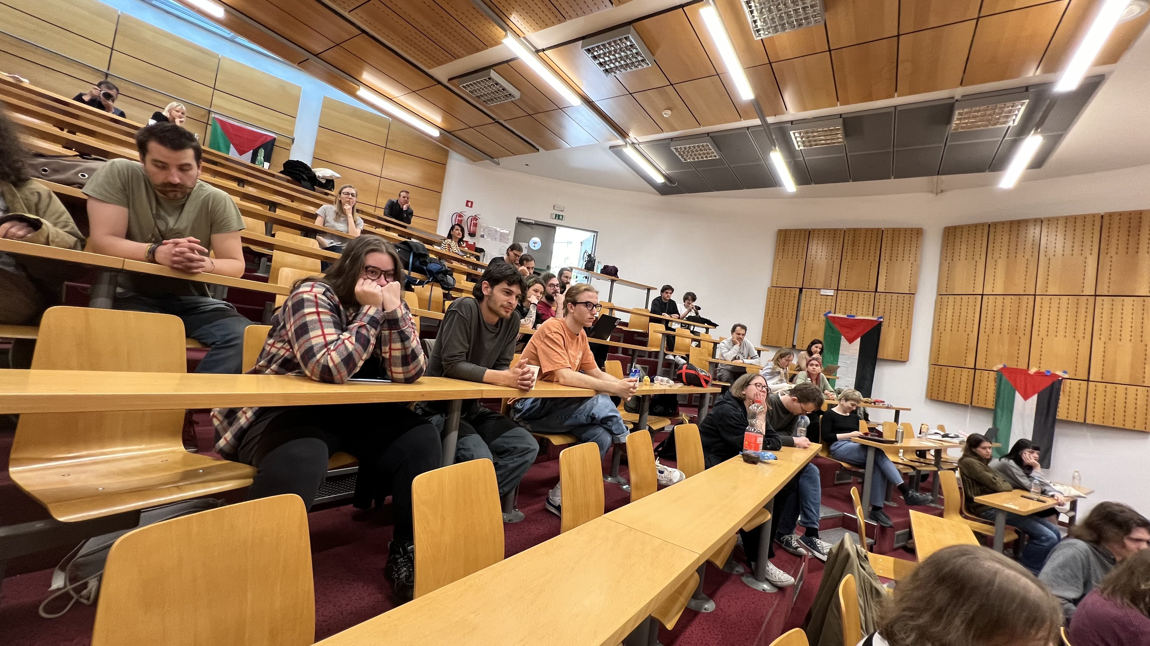 FDV, zasedba, Palestina, Študentski protesti