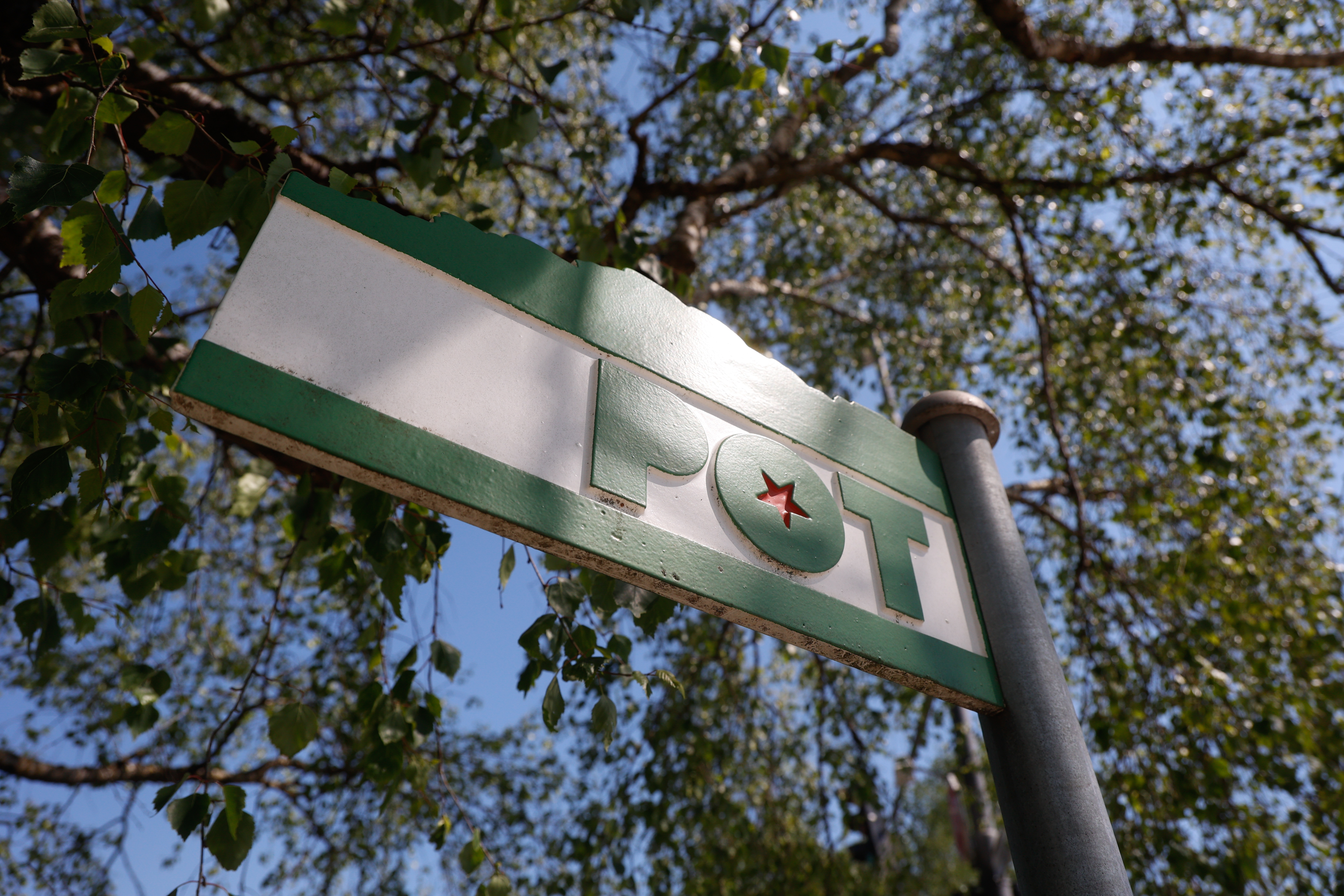 Pohod ob žici (Foto: BOBO)