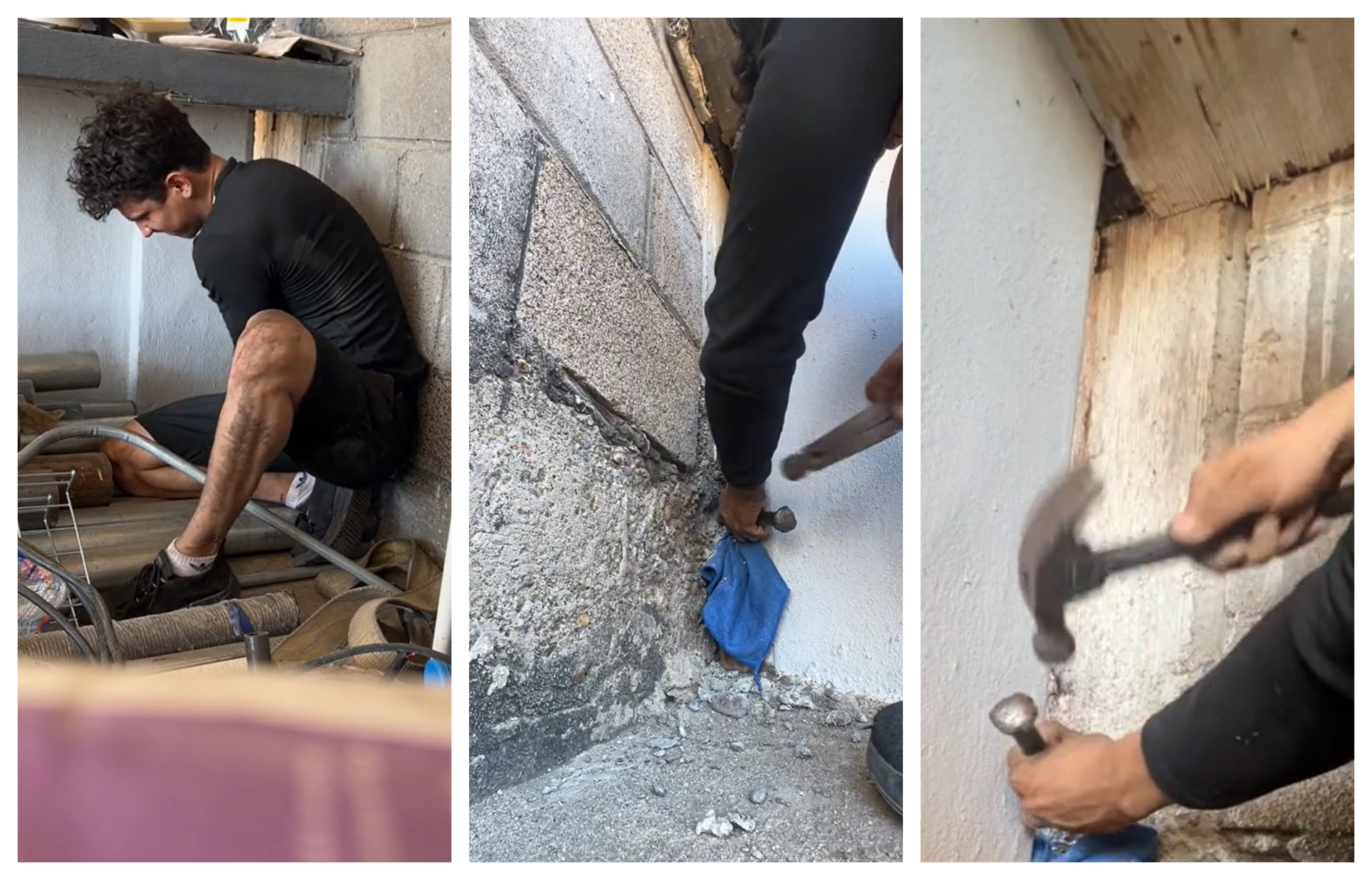 TikTok, reševanje kužka, viralno