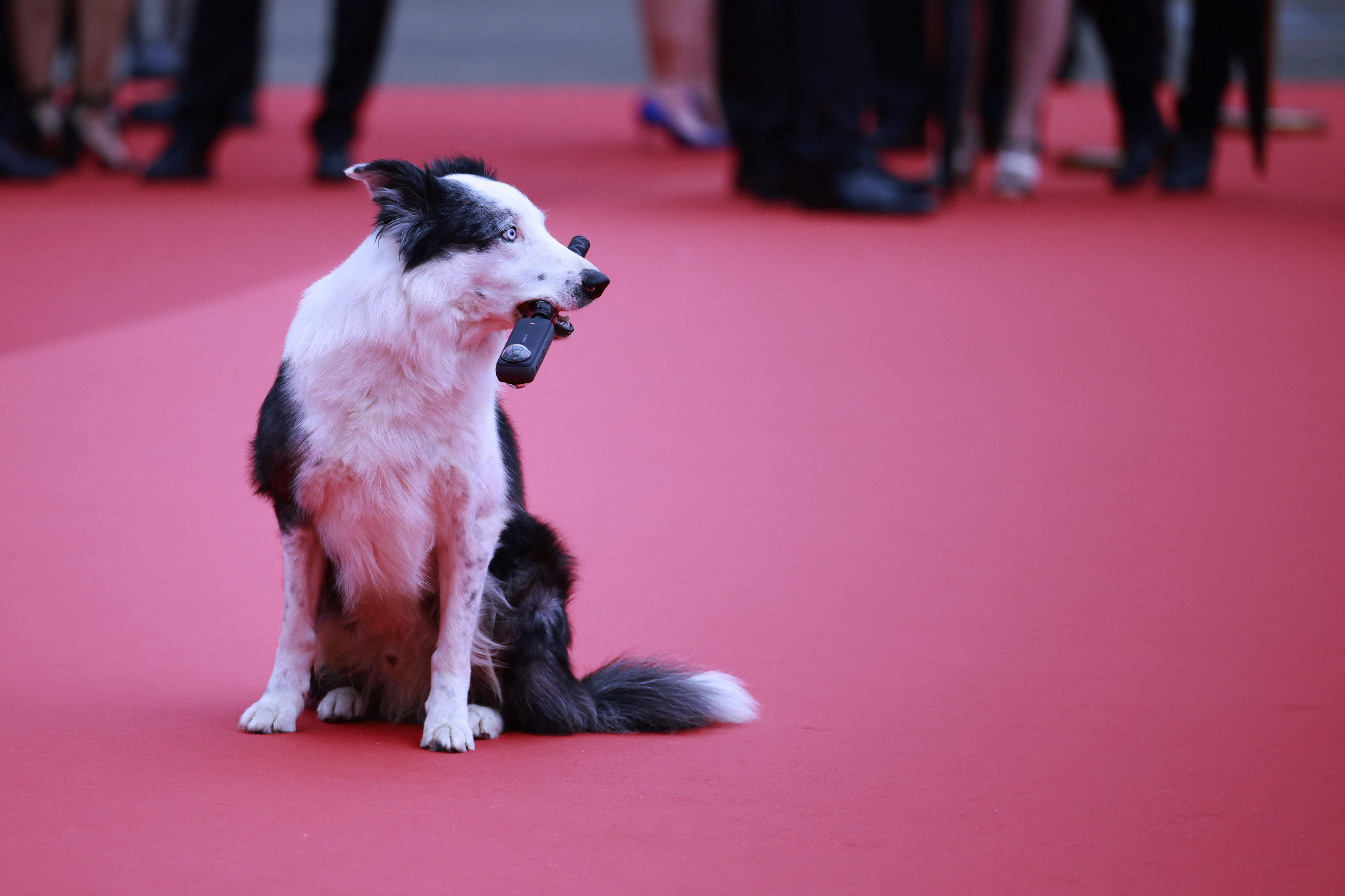 Foto: Yara Nardi/REUTERS