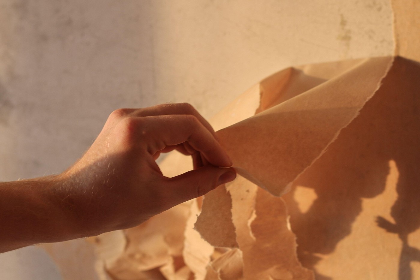 ženska, tapete, odstranjevanje