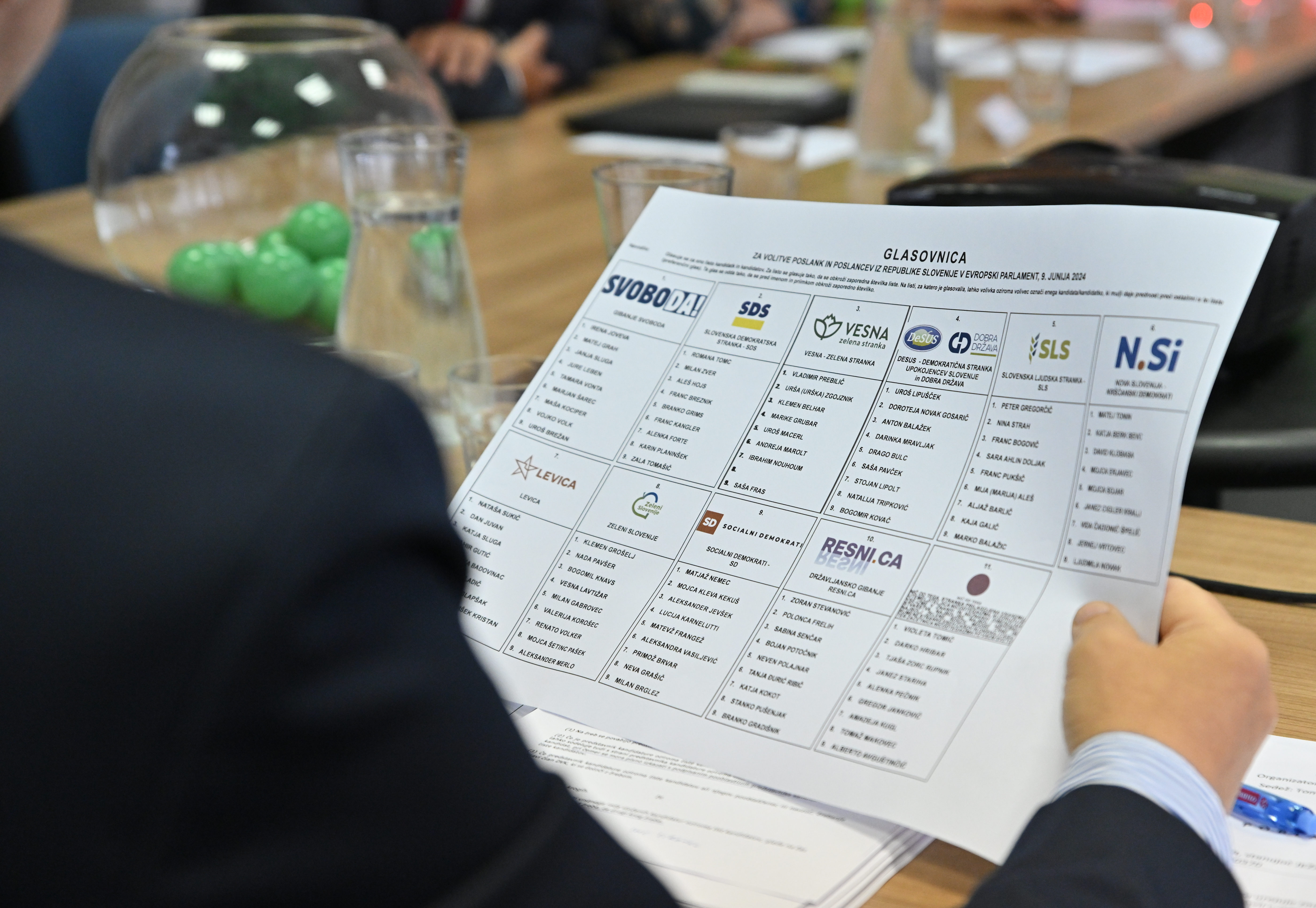 evropske volitve 2024, glasovnica