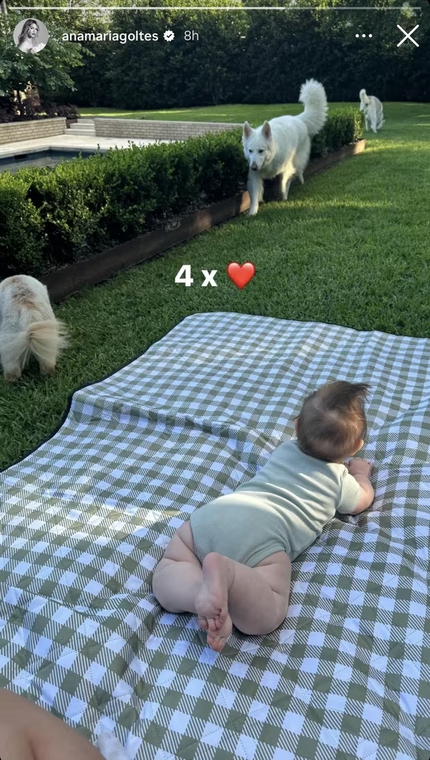 anamaria goltes, gabriela dončić