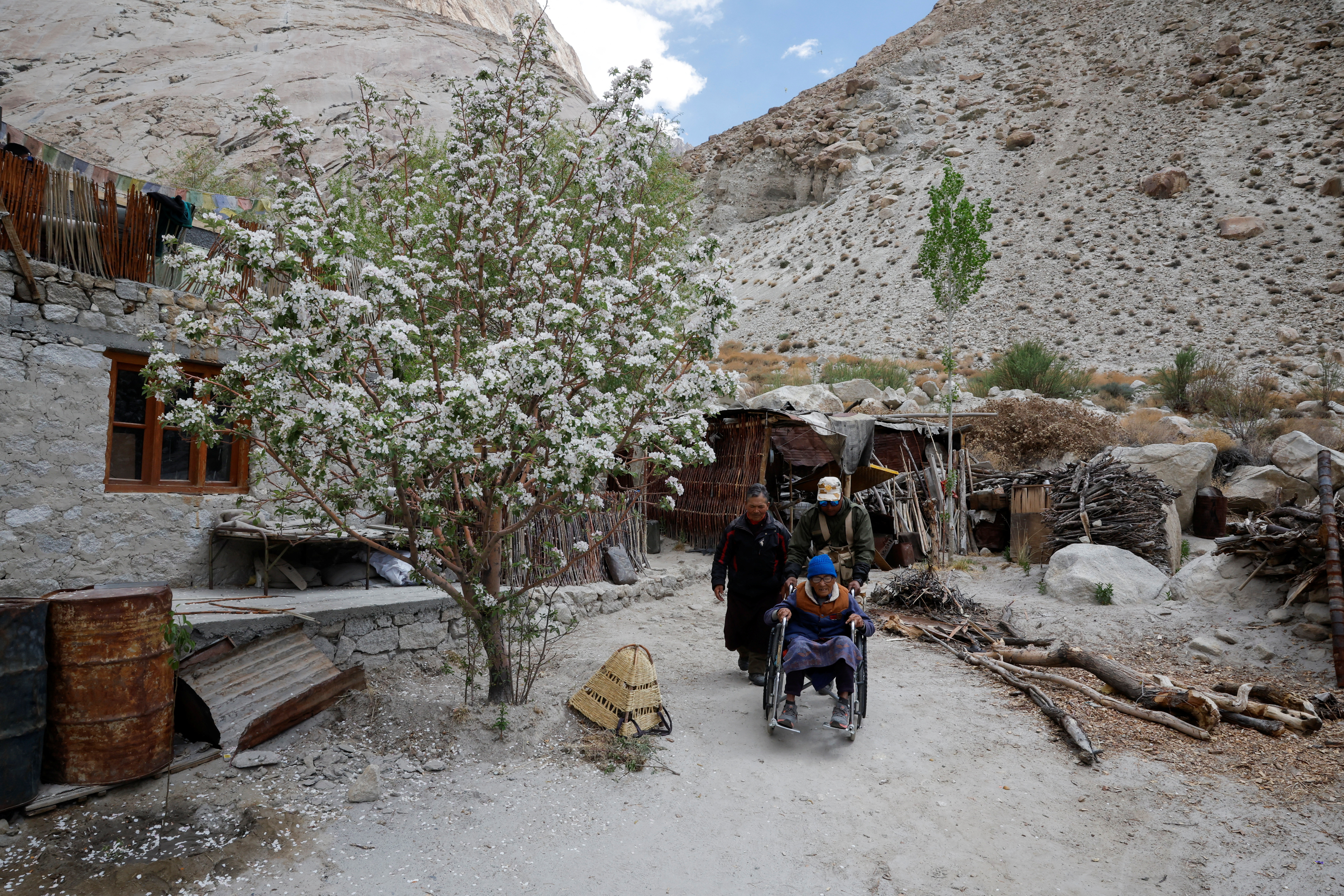 Vas Warshi, volitve, indija, himalaja