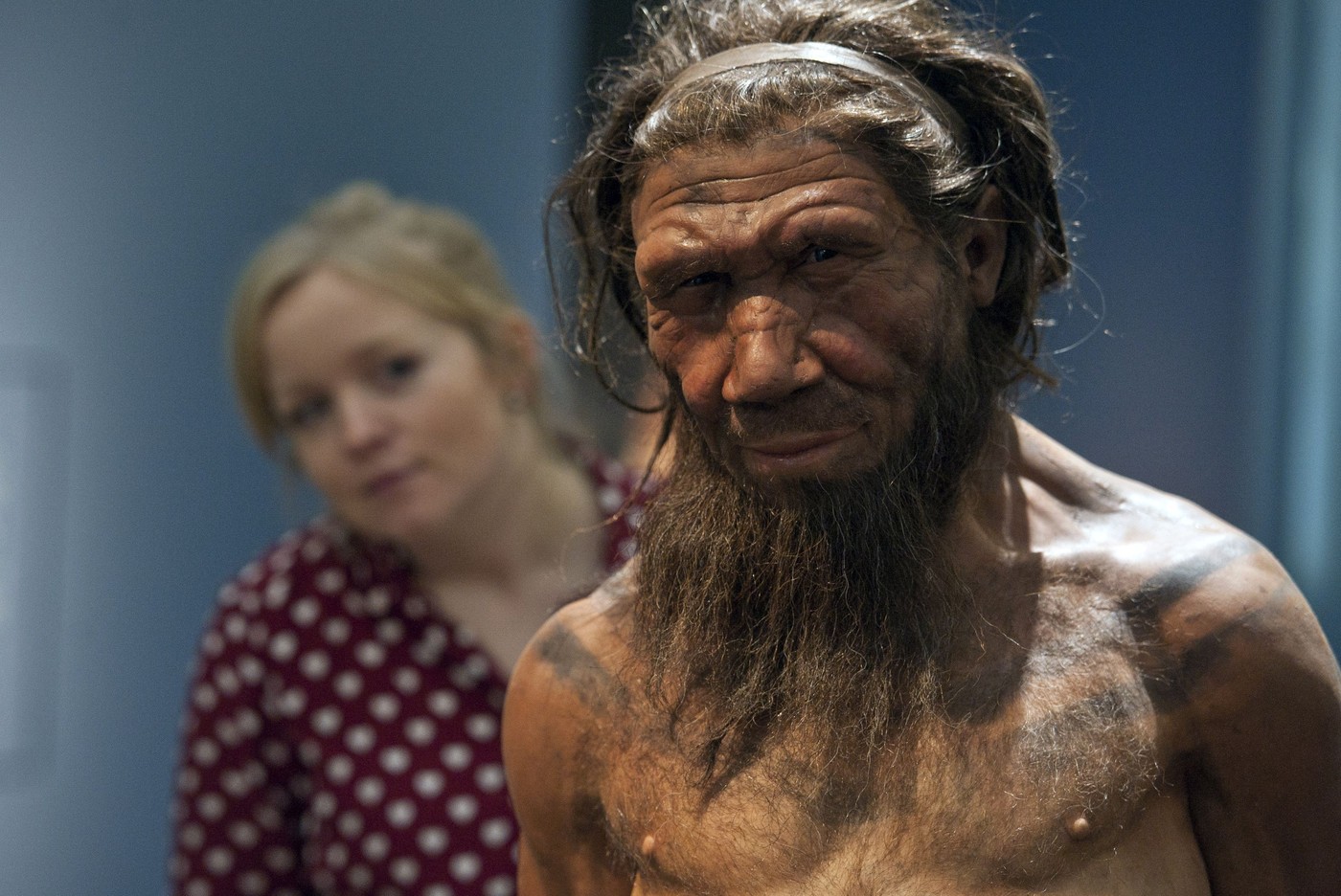 neandertalci, človek, razstava, London, prirodoslovni muzej