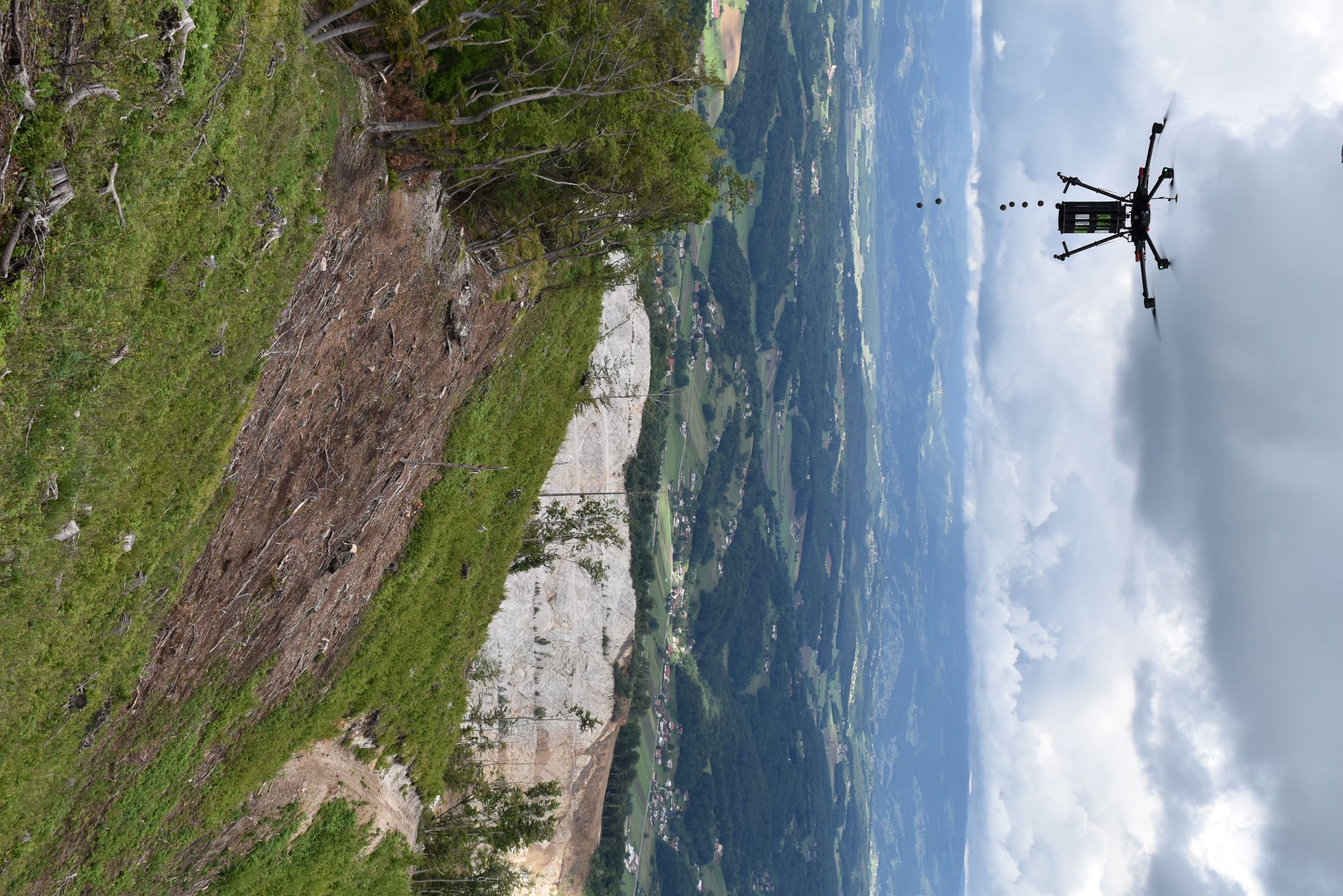 Foto: Zavod za gozdove Slovenije