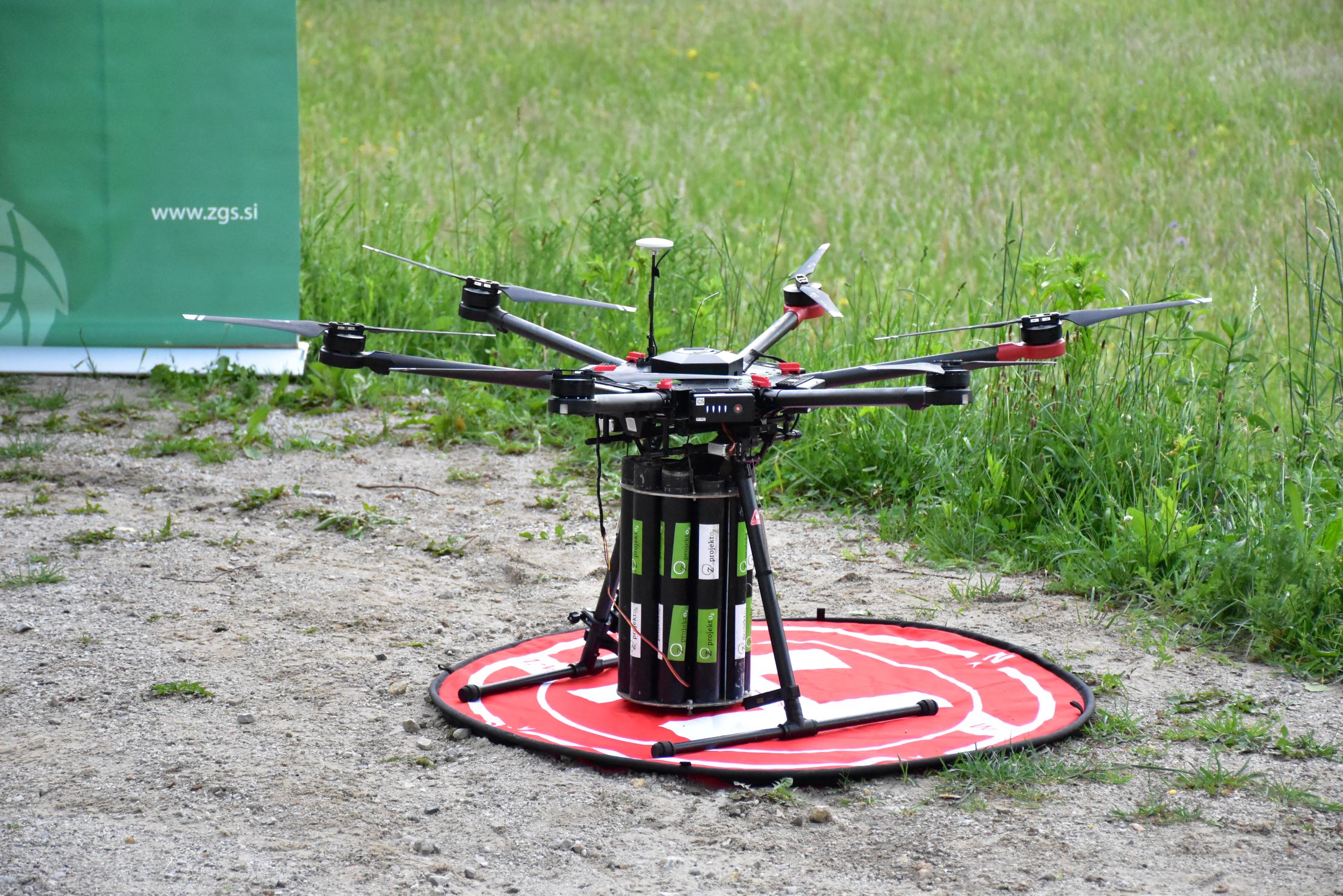 dron, gozd, boč, sajenje