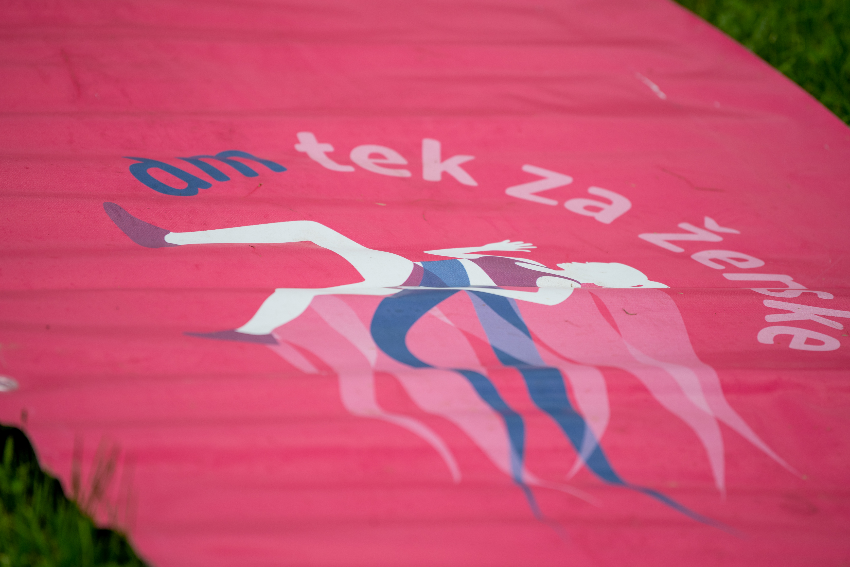 Foto: Egon Parteli/N1